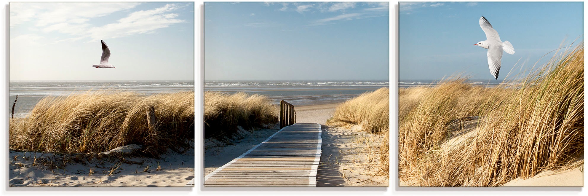 Image of Artland Glasbild »Nordseestrand auf Langeoog mit Möwen«, Strand, (3 St.) bei Ackermann Versand Schweiz