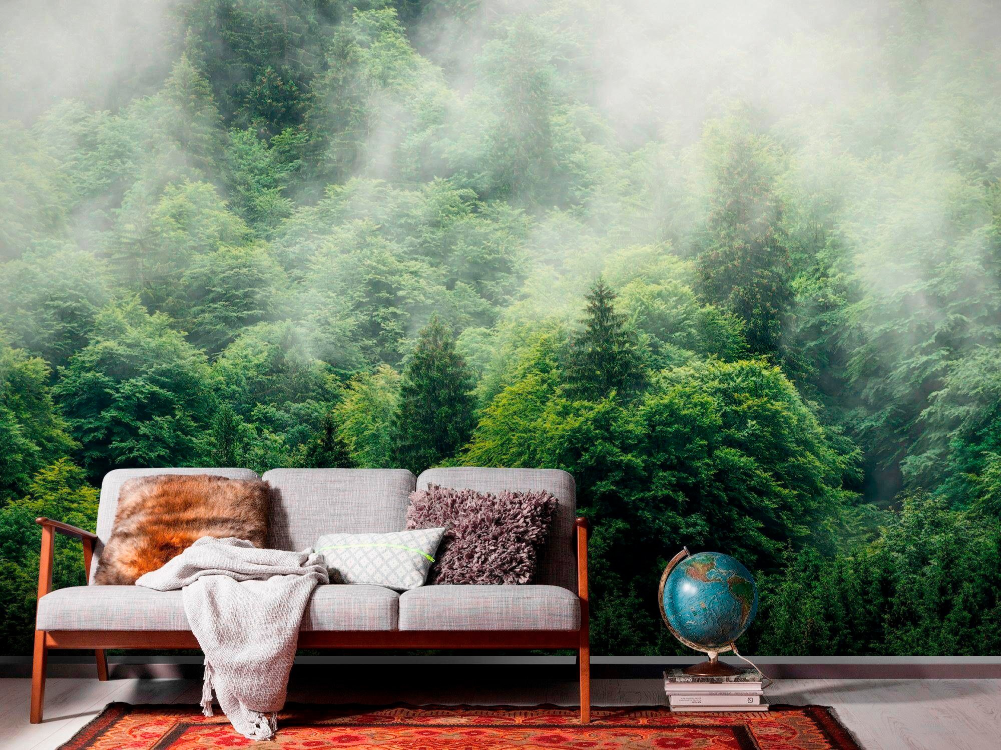 Komar Papier peint intissé »Digitaldruck Vlies -  Forest Land - Grösse 400 x 250 cm« imprimé Wohnzimmer, Schlafzimmer