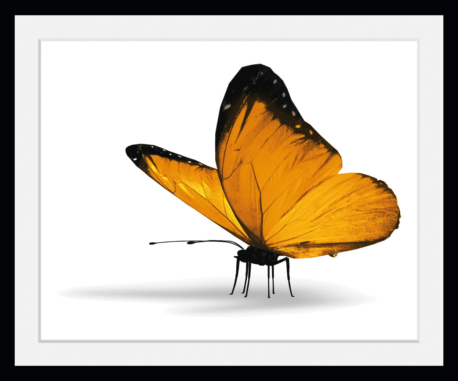 Image of queence Bild "Maria 1.0" Insekten Kunst Schmetterlinge historische Ereignisse 1 Stk. tlg. HD Premium Poster-Druck inkl. Holzrahmen
