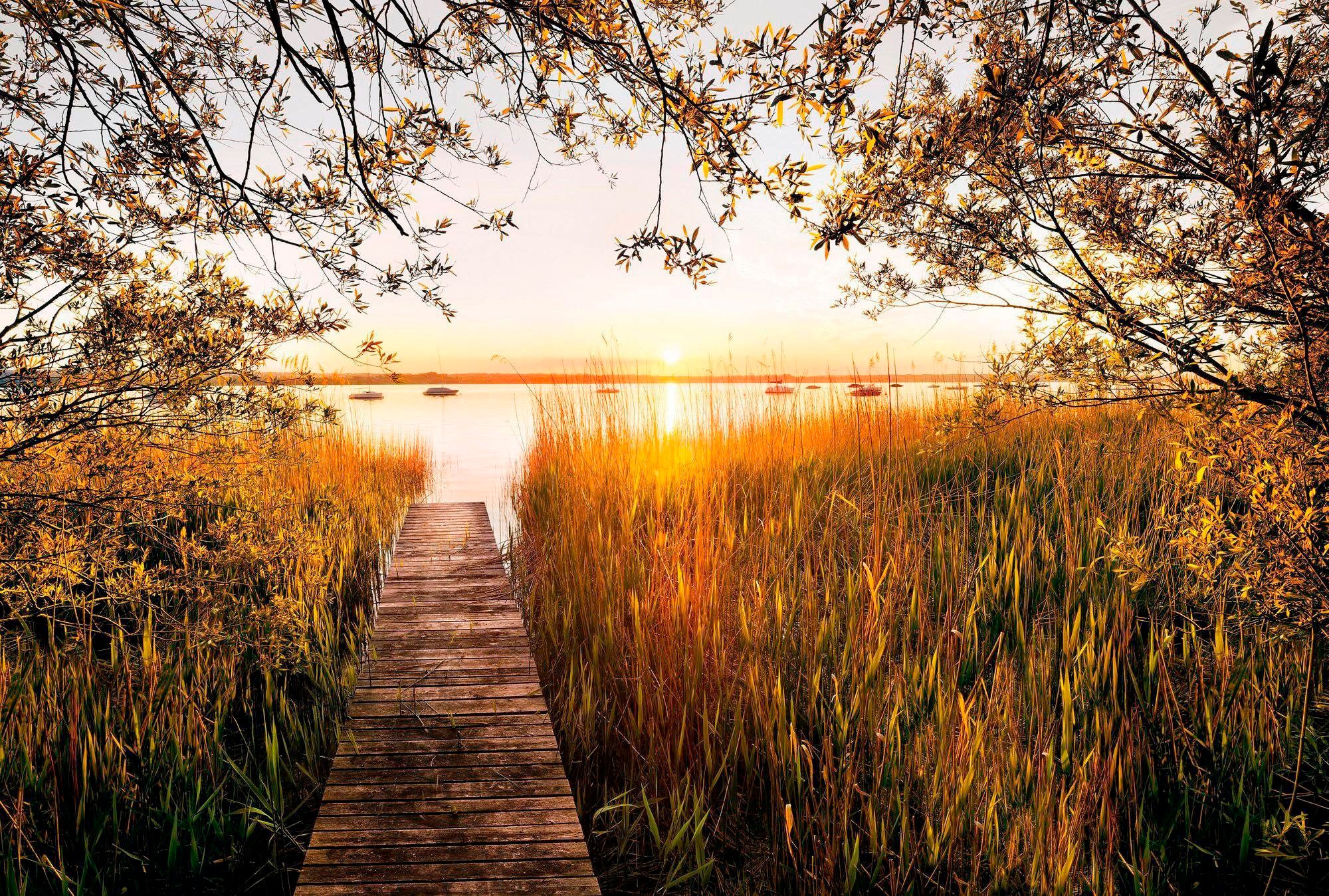 Image of Komar Vliestapete "Digitaldruck Vlies - Lakeside - Grösse 400 x 260 cm" bedruckt glatt Wohnzimmer, Schlafzimmer