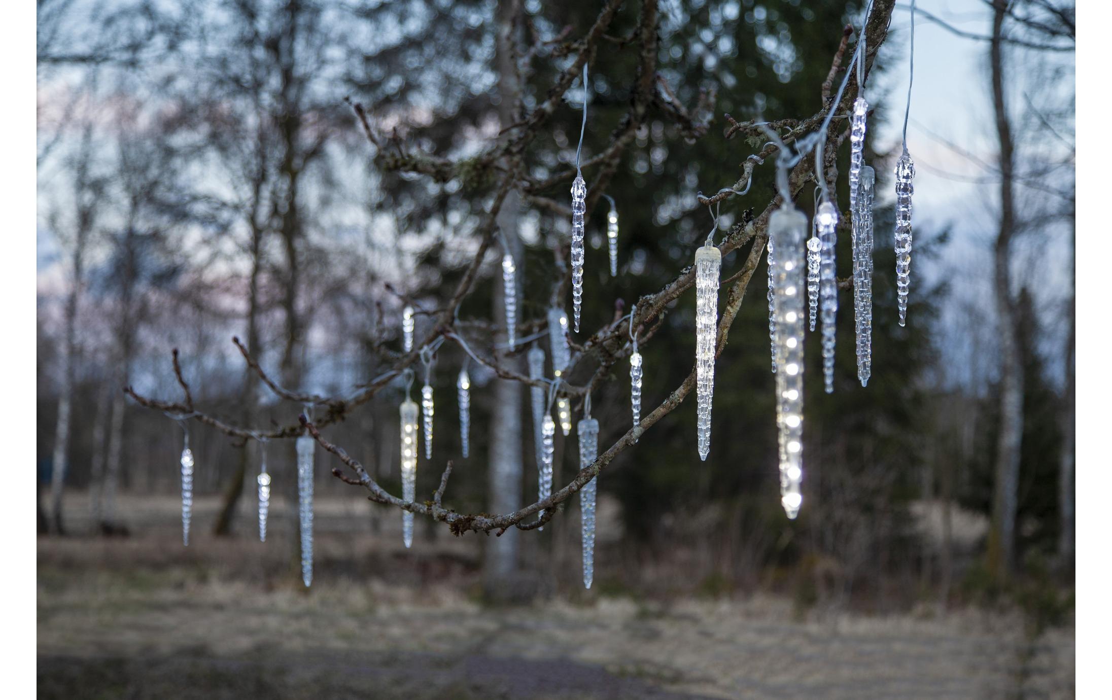 Parforce Traditional Hunting Rideau lumineux LED »Trading LED-Lichtervorhang« 24 cuis-flammig