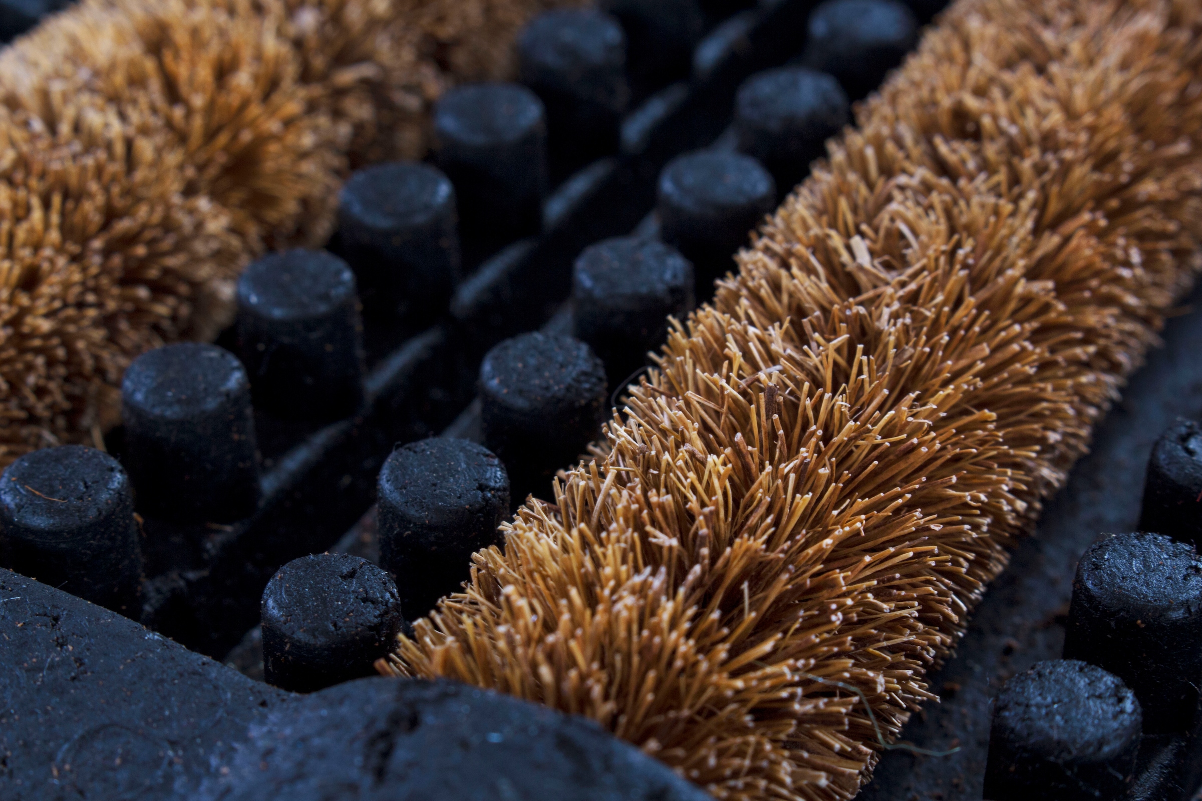 Andiamo Fussmatte »Robusta« rechteckig 30 mm Höhe Schmutzfangmatte, mit Bürsten aus Kokos, In- und Outdoor geeignet