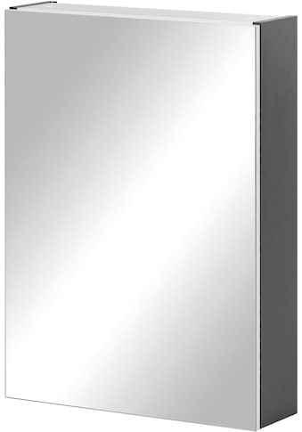 Schildmeyer Spiegelschrank »Basic«, Breite 50 cm, 1-türig, Glaseinlegeböden, Made in... kaufen