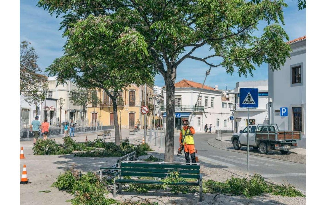 Husqvarna Baum- und Strauchschneider »530iPT5 Solo«