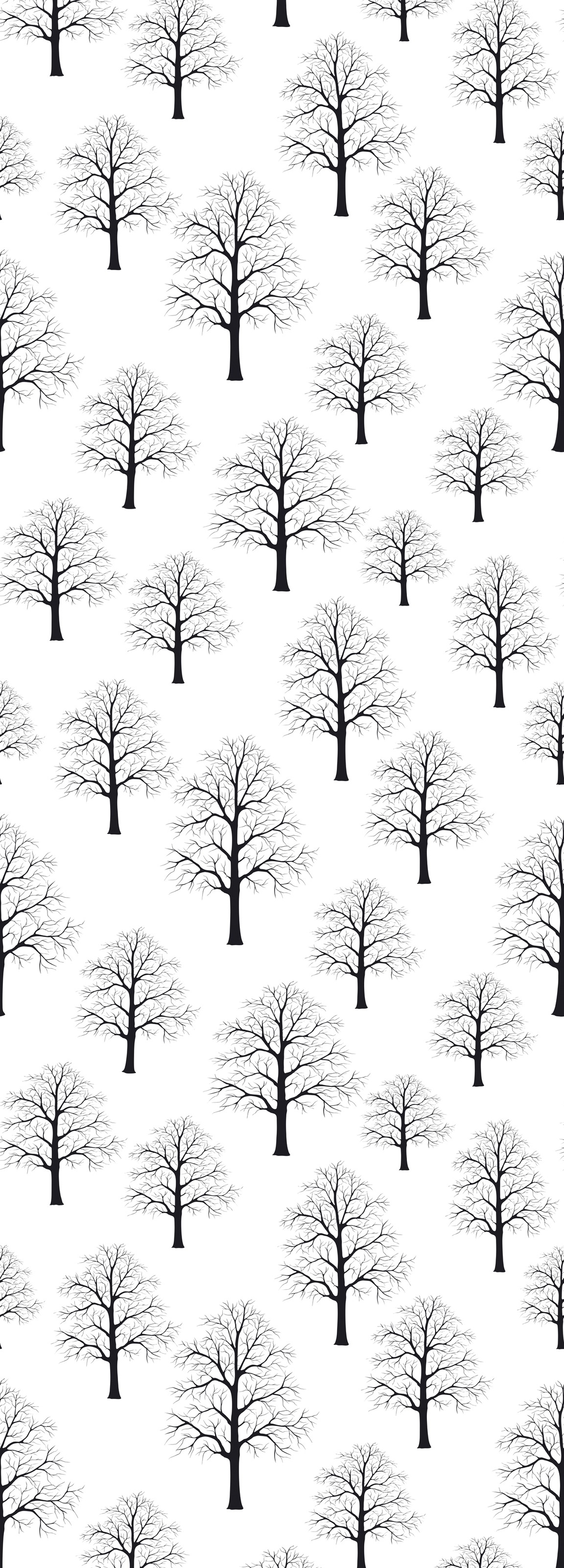 Image of queence Vinyltapete "Owhie" Motiv bedruckt botanisch floral gemustert natürlich glatt 90x250cm, selbstklebend, kinderleichte Anbringung, Sticker