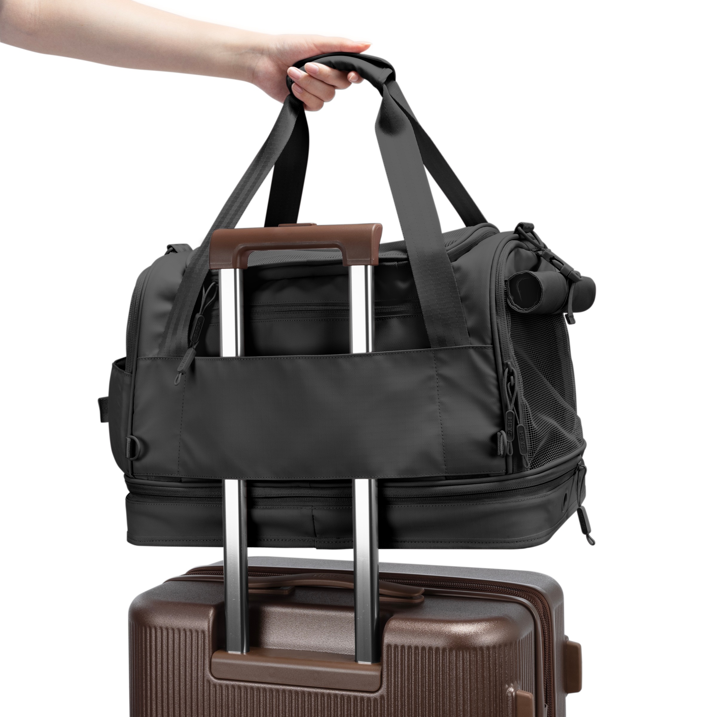 Heys Sac de transport pour animaux »Heys Pawsenger« valise pour animaux, sac de transport pour animaux, adapté pour bagage à main selon recommandations IATA