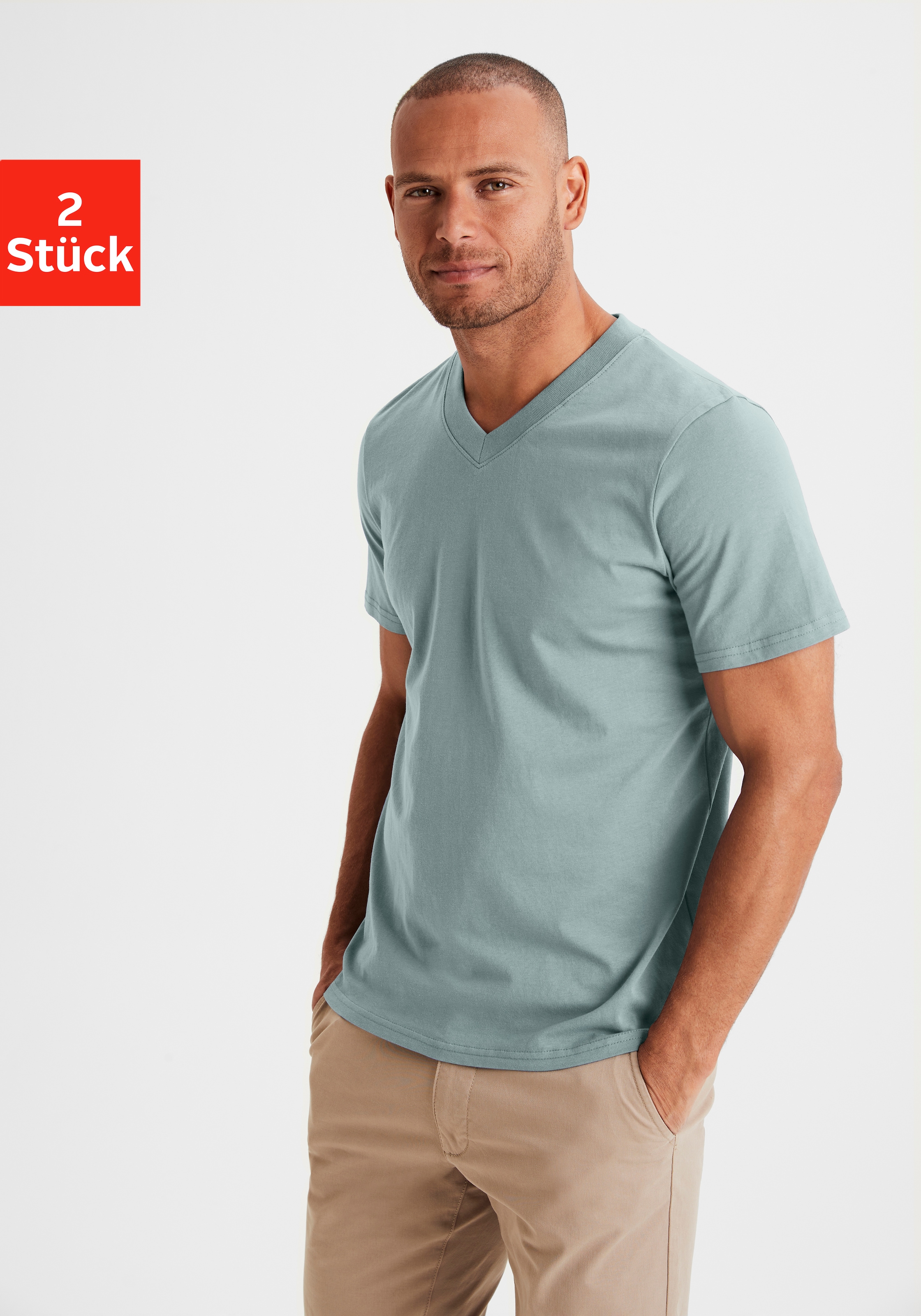 V-Shirt »Regular Fit,«, (2er-Pack), Freizeitshirt mit Kurzarm, V-Ausschnitt aus reine...