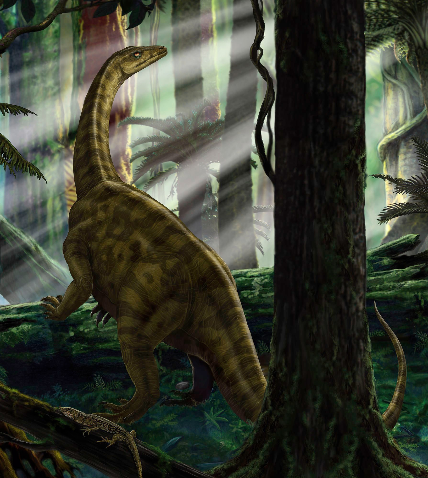 Image of Komar Fototapete »Riojasaurus Forest«, bedruckt-Comic-Retro-mehrfarbig, BxH: 250x280 cm bei Ackermann Versand Schweiz