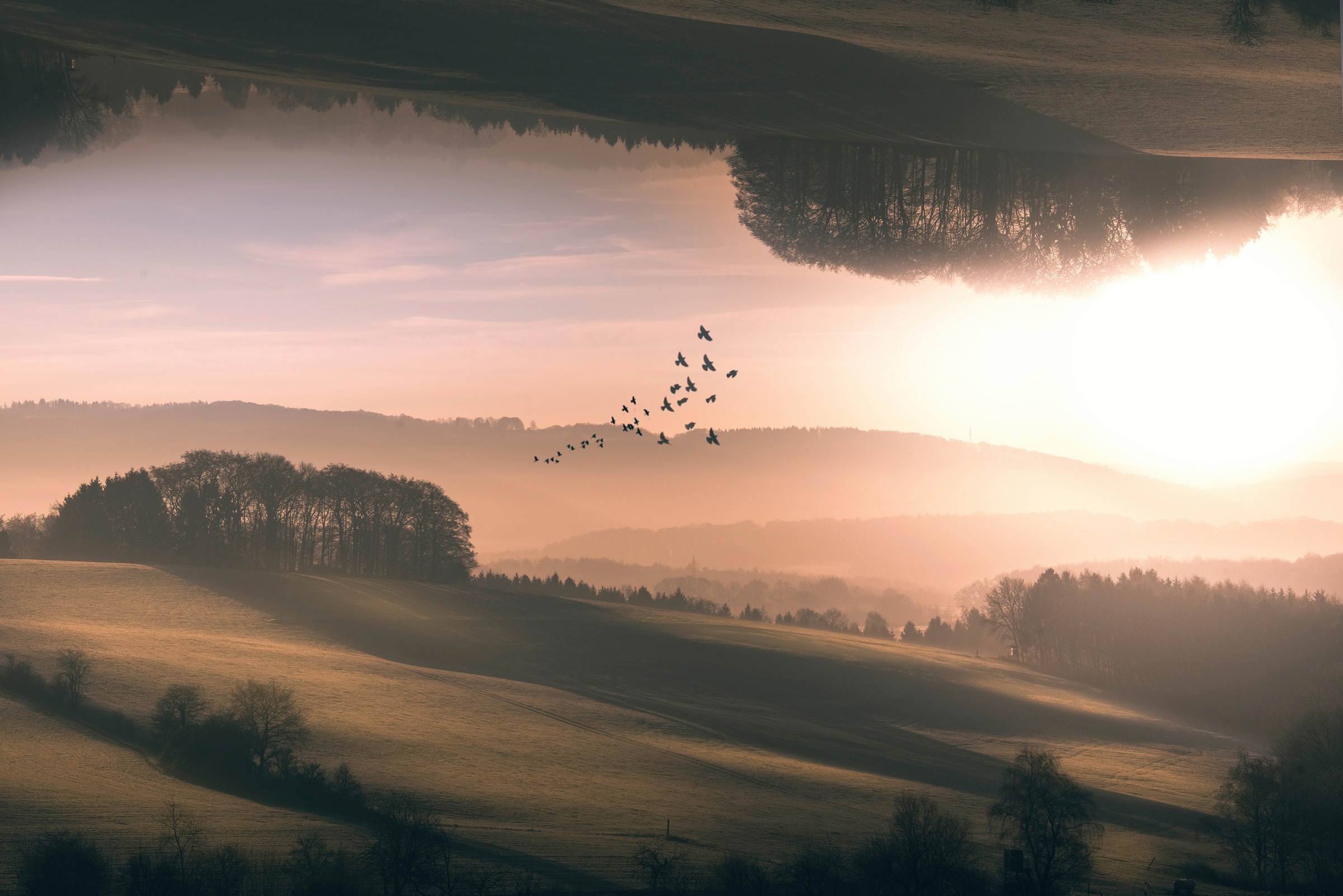 Image of Papermoon Fototapete »Photo-Art MARCUS HENNEN, INTERPLANAR«, Vliestapete, hochwertiger Digitaldruck, inklusive Kleister bei Ackermann Versand Schweiz