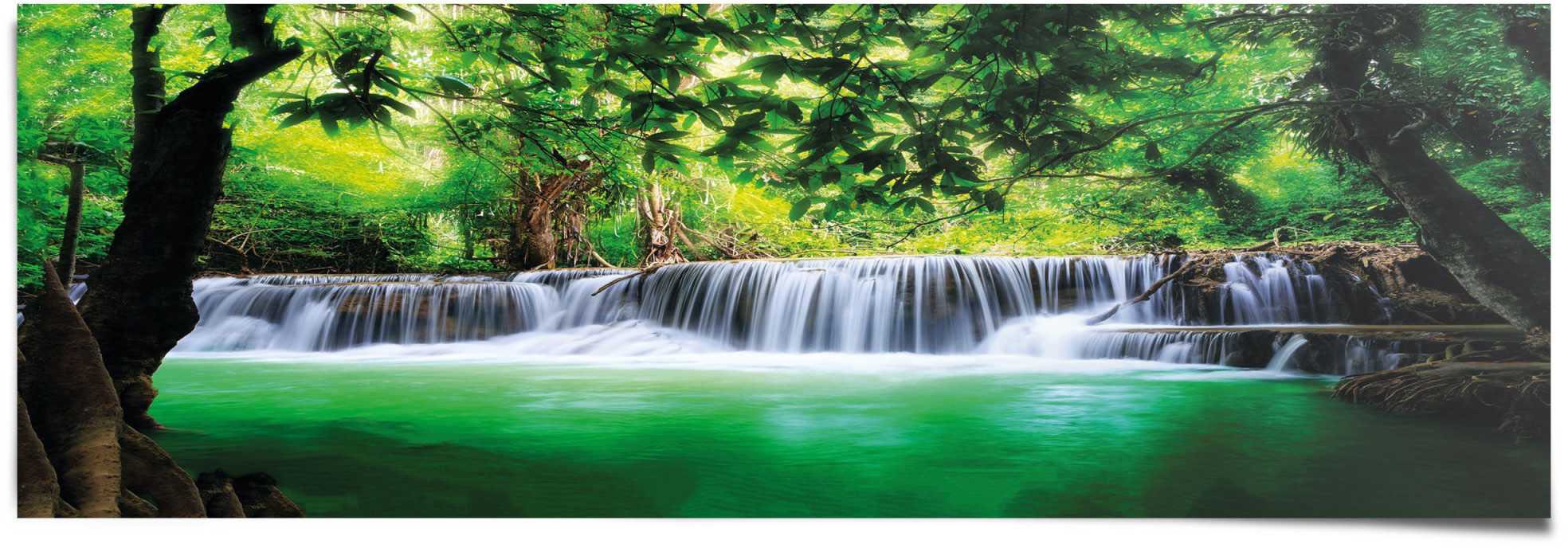 Image of Reinders! Poster »Paradies Träume«, (1 St.) bei Ackermann Versand Schweiz