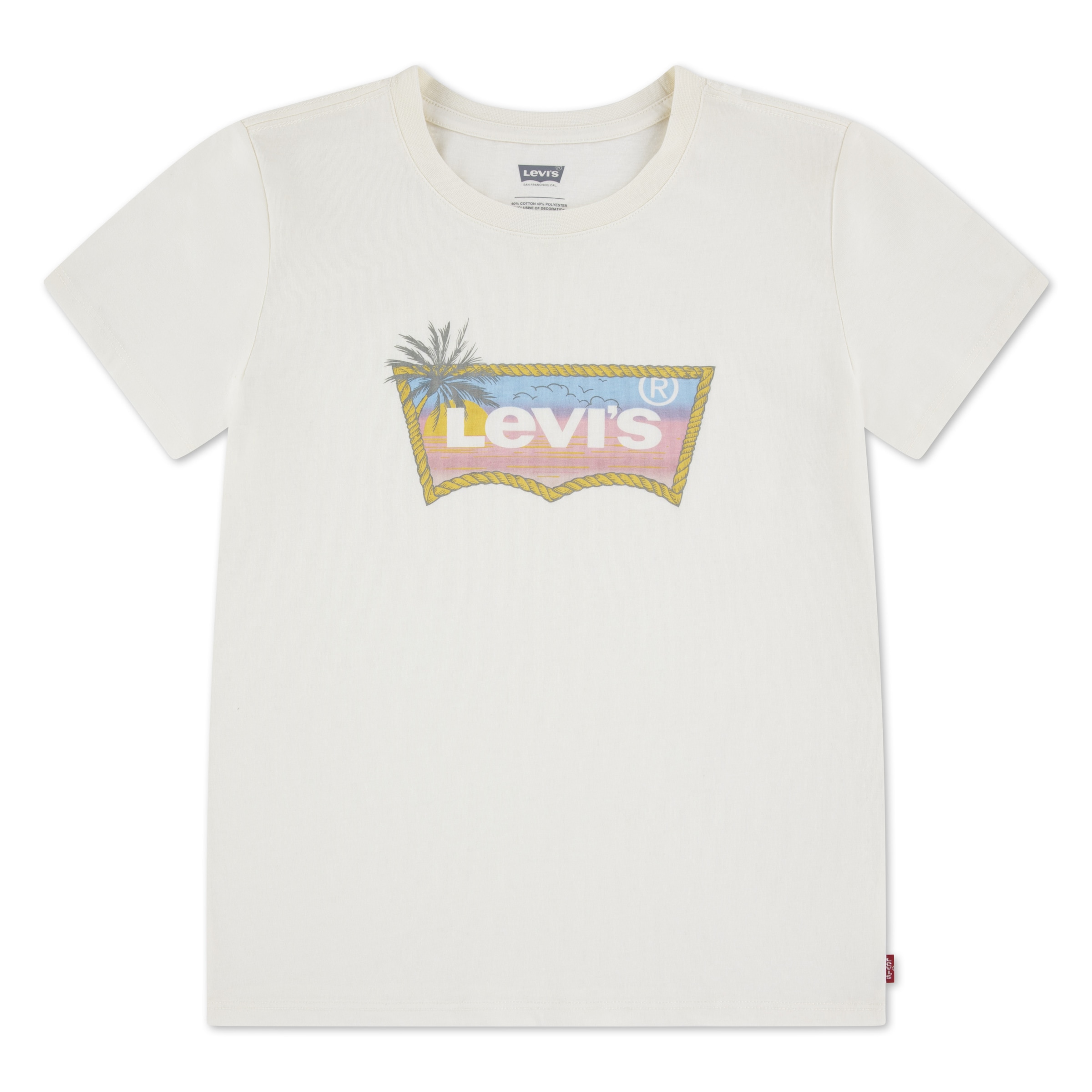 Image of Levis Kids T-Shirt "LVG OMBRE BATWING TEE" mit Sundowner-Logoprint
