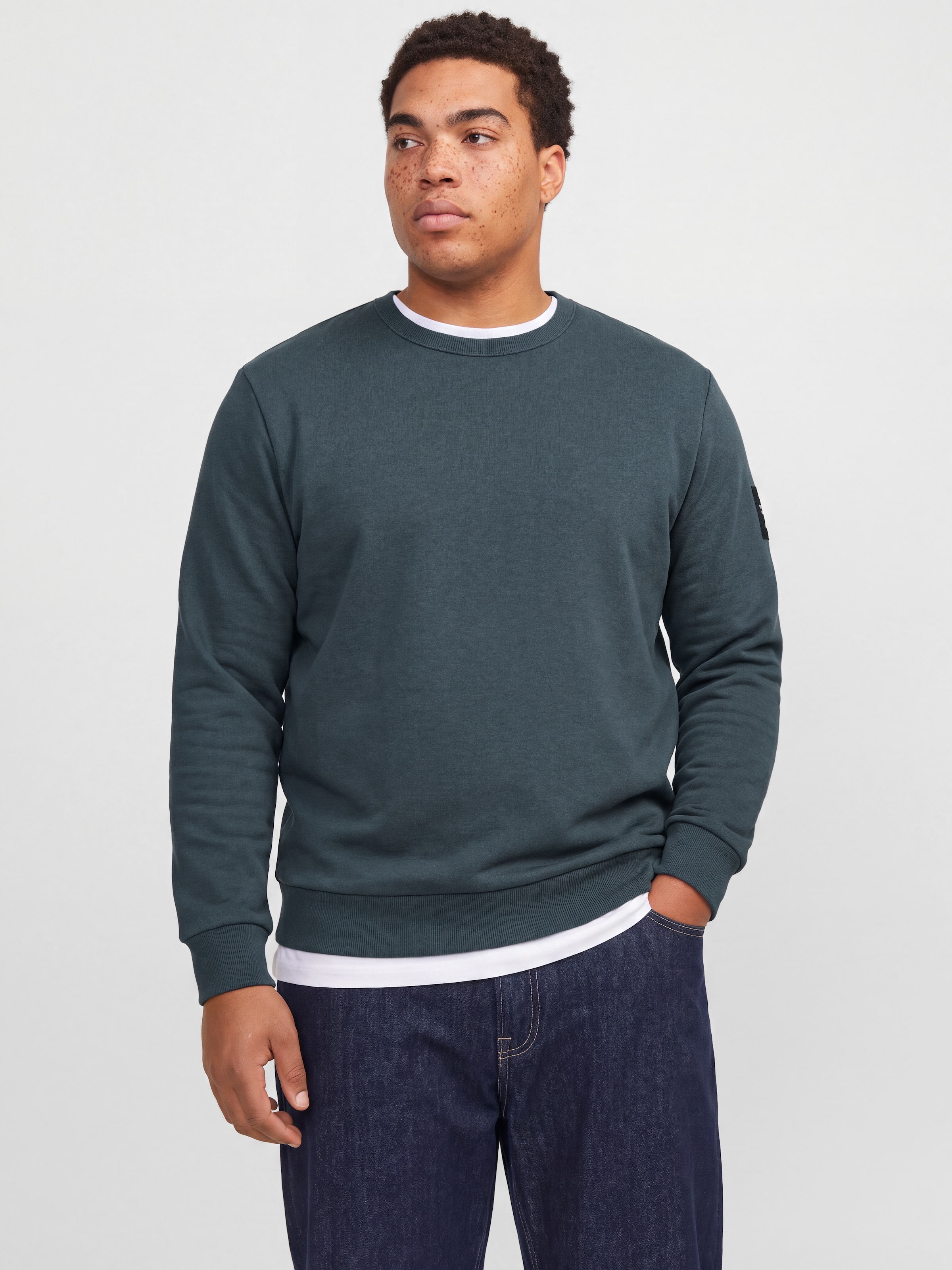 Image of Jack & Jones PlusSize Sweatshirt "JJCLEVELAND SWEAT CREW NECK PLS", Materialmix, regular fit