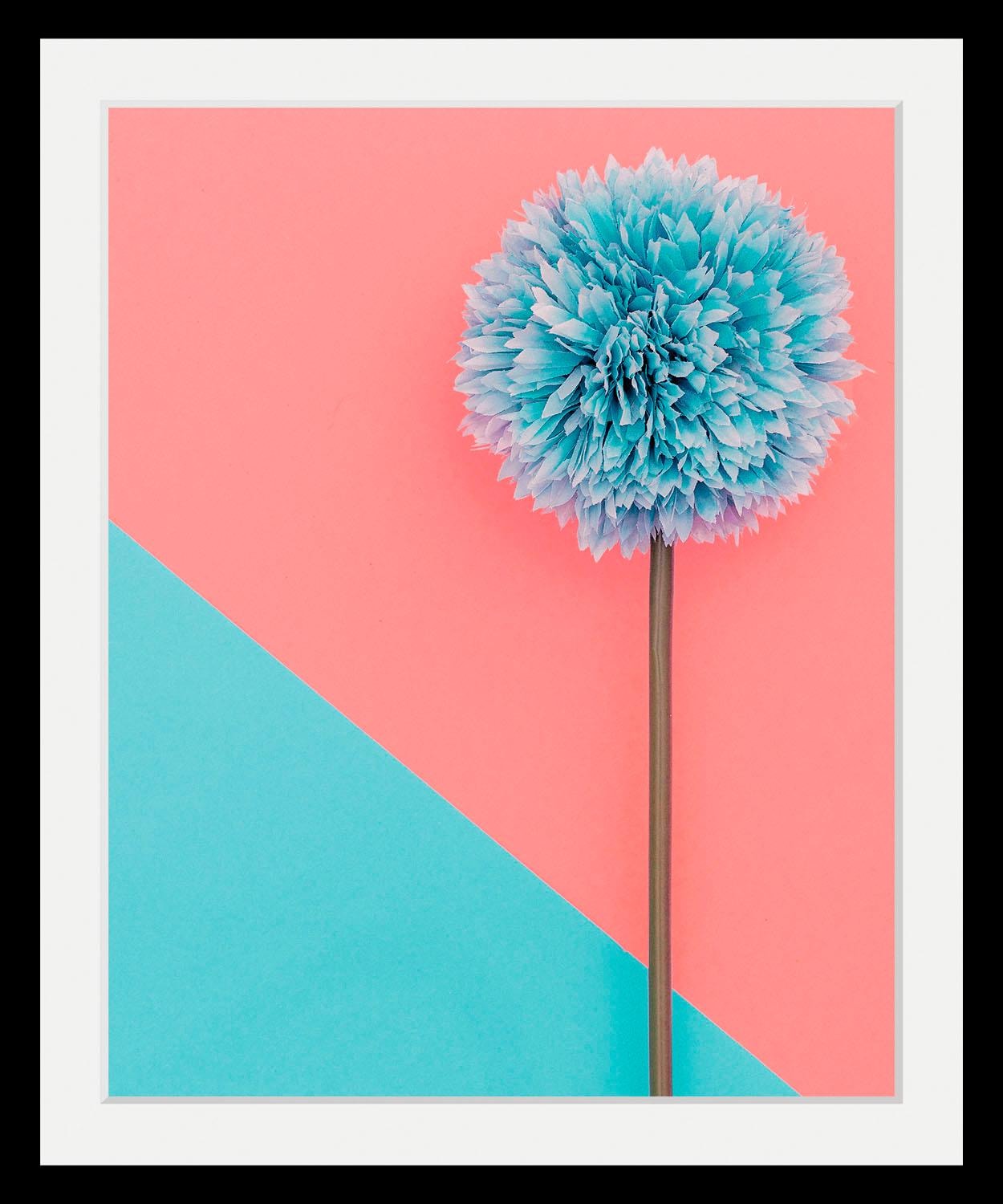 Image of queence Bild "Pusteblume" Blumen Blumenbilder Kunst Pflanzen HD Premium Poster-Druck inkl. Holzrahmen