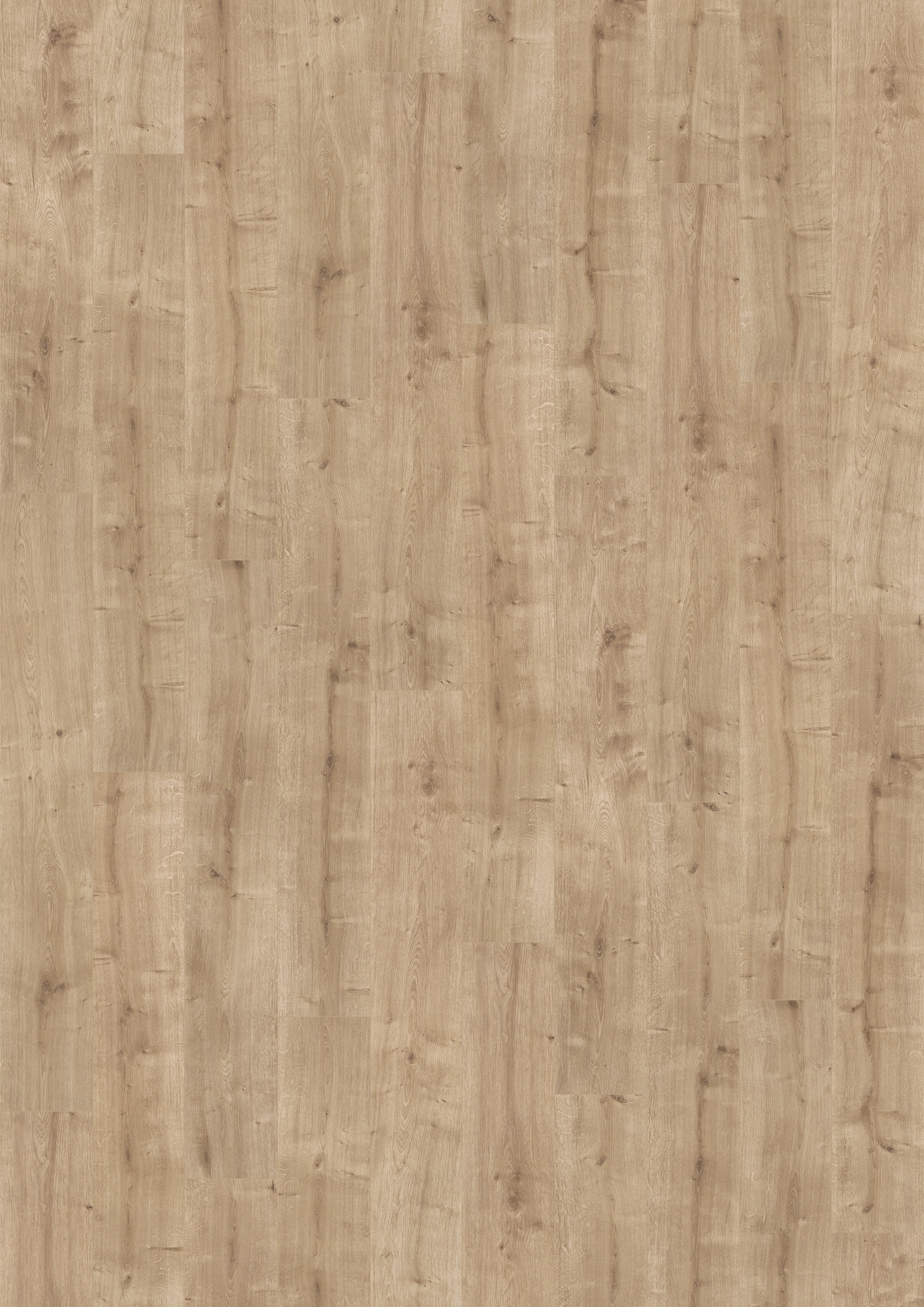 Image of PARADOR Laminat »Basic 400 - Eiche geschliffen«, (Packung), Kantenimprägnierung, 1285 x 194 mm, Stärke: 8 mm bei Ackermann Versand Schweiz