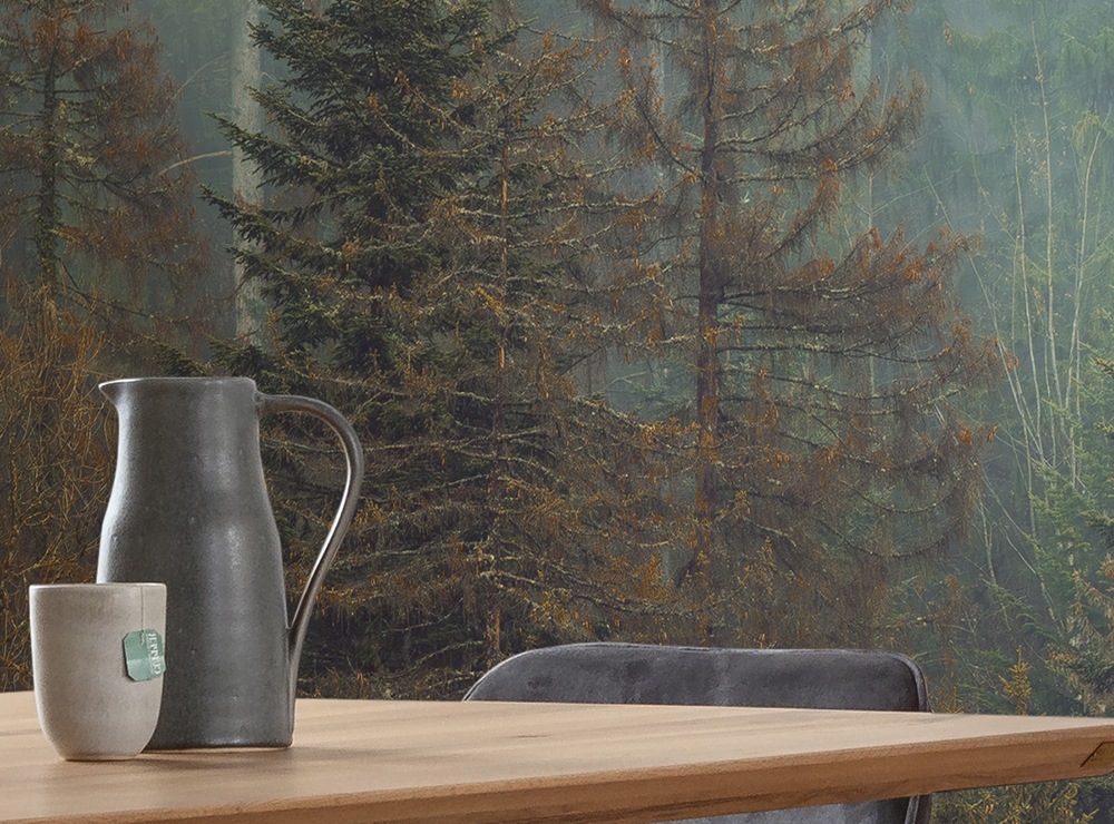 Komar Fototapete »Vlies Fototapete - Foggy Firs - Grösse 400 x 250 cm« Motiv | bedruckt glatt