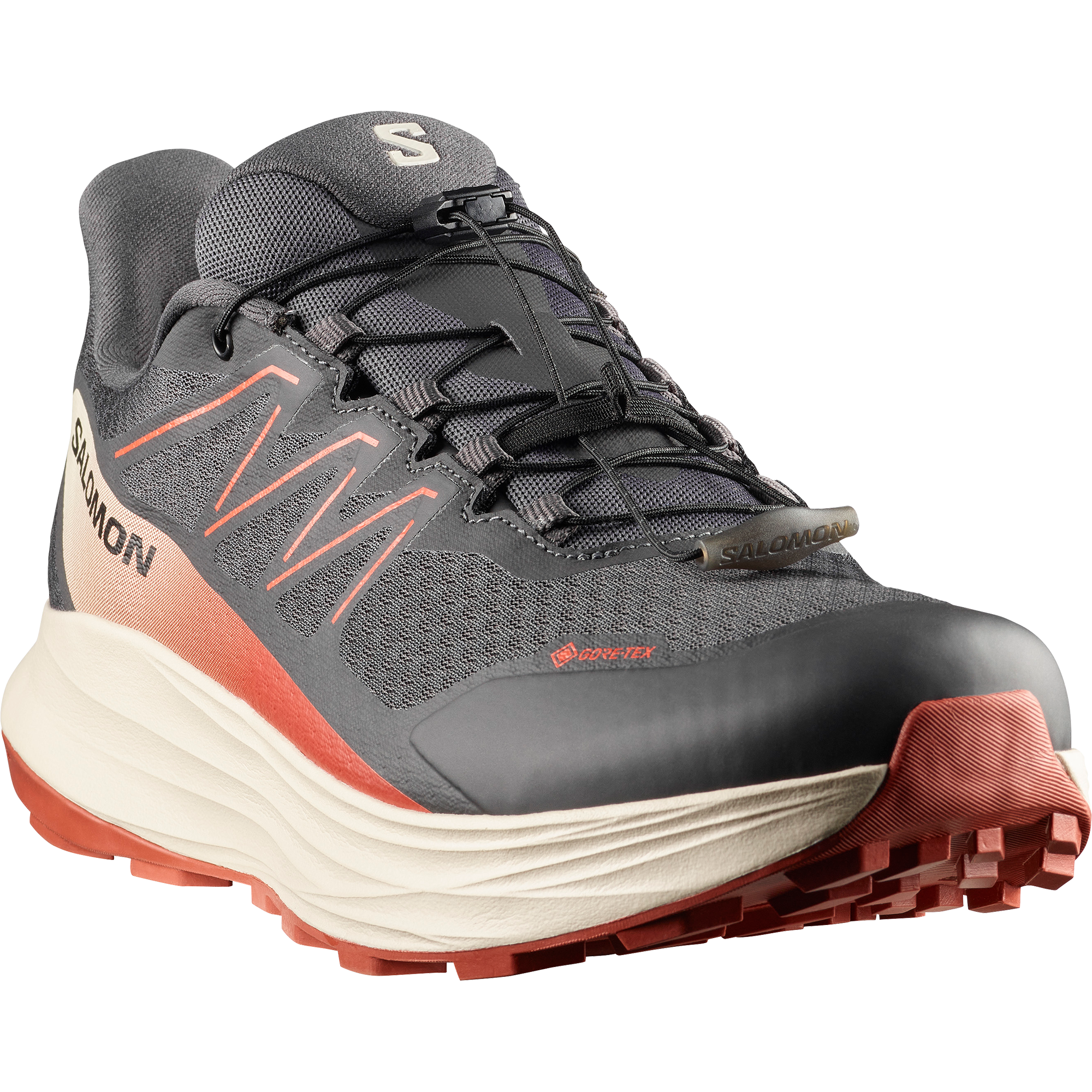 Image of Salomon Trailrunningschuh "ALPHARIDE 2 GORE-TEX" wasserdicht