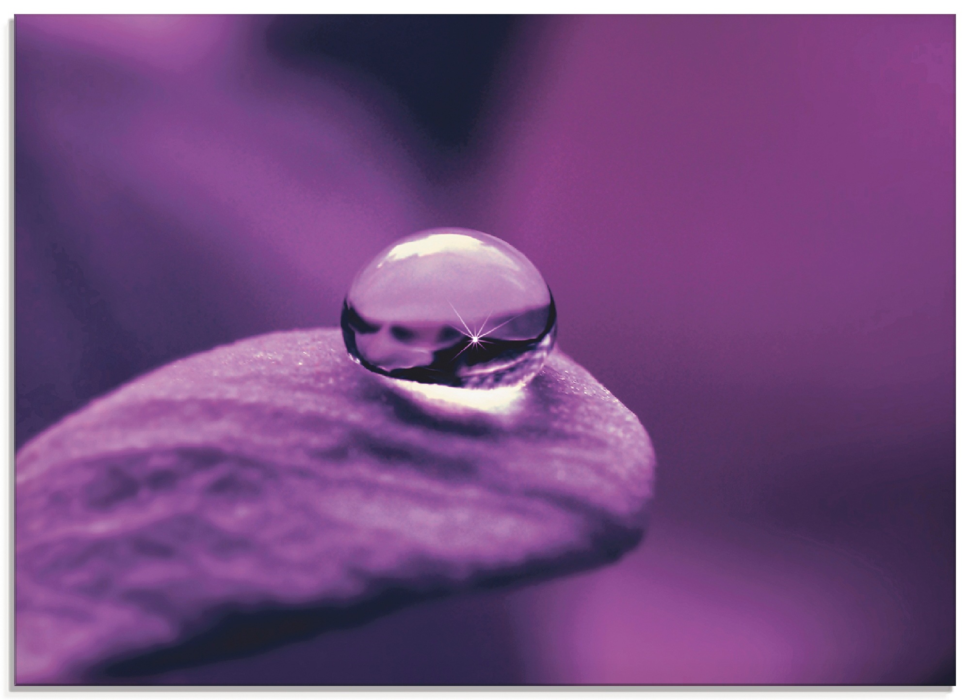 Image of Artland Glasbild "Amethyst" Blumen 1 Stk. tlg. in verschiedenen Grössen