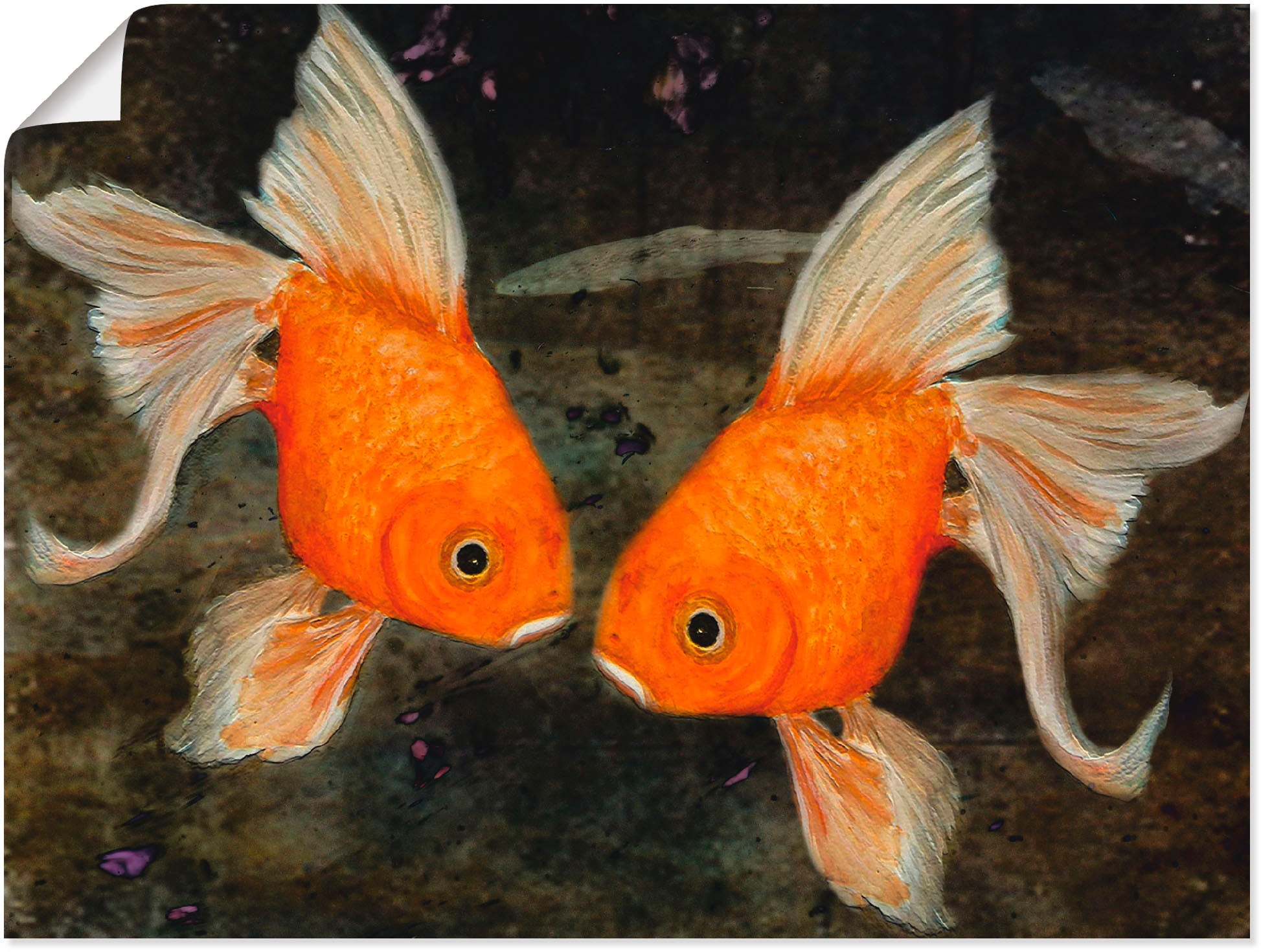 Image of Artland Poster "Turtelfische" Wassertiere 1 Stk. tlg. ohne Rahmen