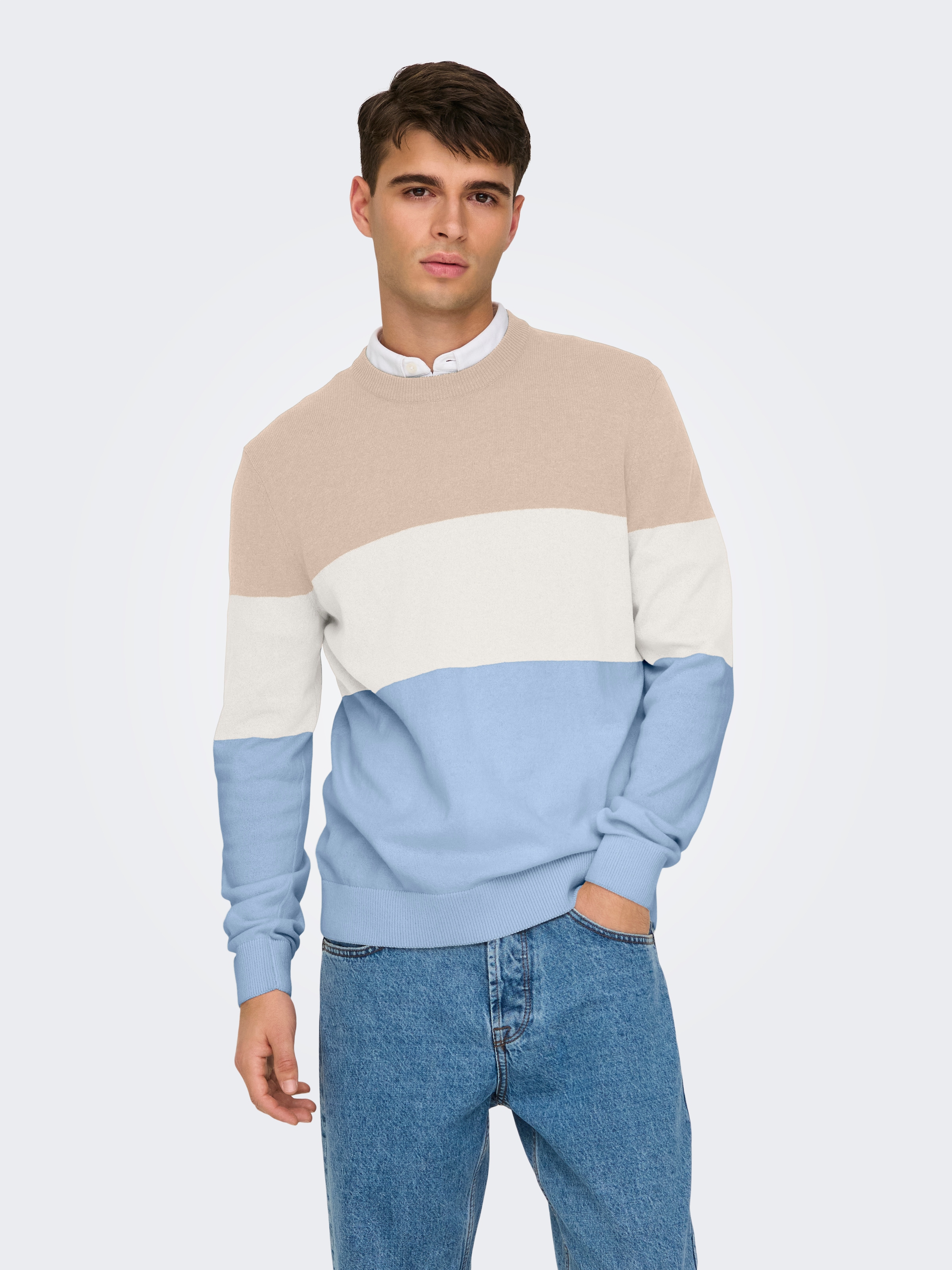 ONLY & SONS Pull à col rond »ONSREX LIFE REG 12 CREW KNIT«