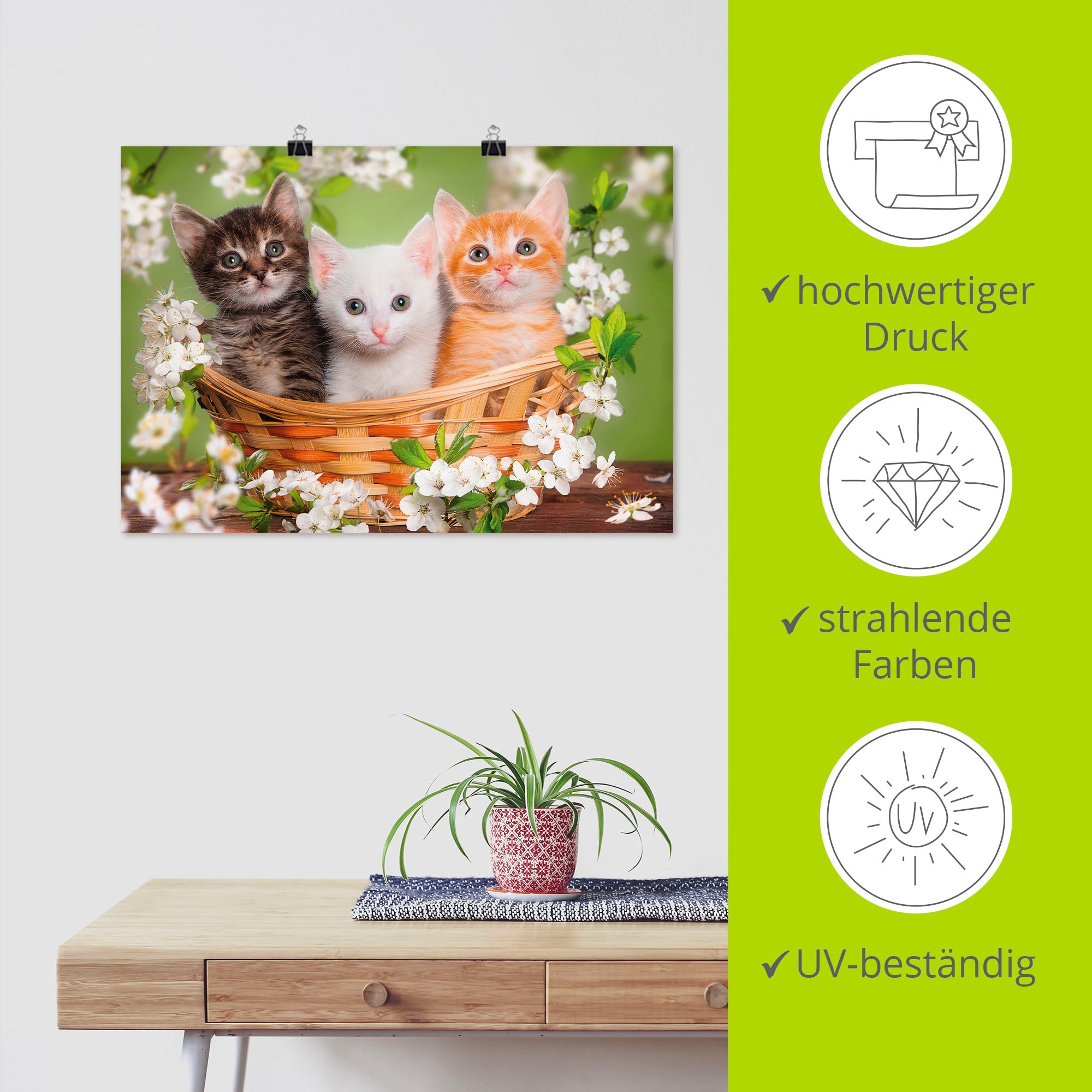 Artland Wandbild »Katzen sitzen in einem Korb«, Haustiere, (1 St.), als Leinwandbild, Poster, Wandaufkleber in verschied. Grössen