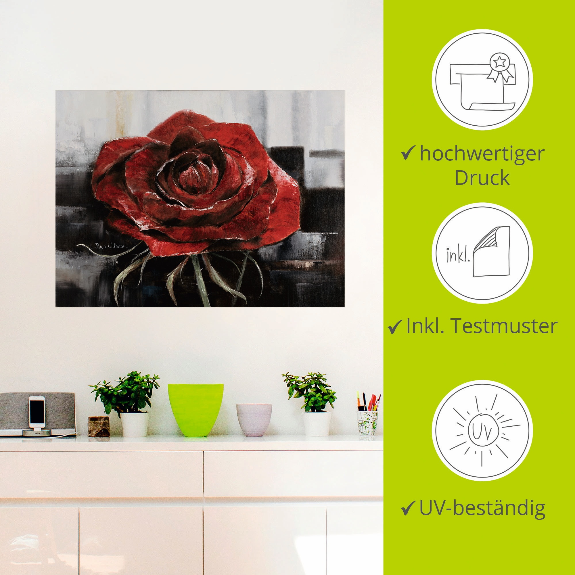 Artland Wandbild »Blühende rote Rose«, Blumen, (1 St.), als Leinwandbild, Poster, Wandaufkleber in verschied. Grössen