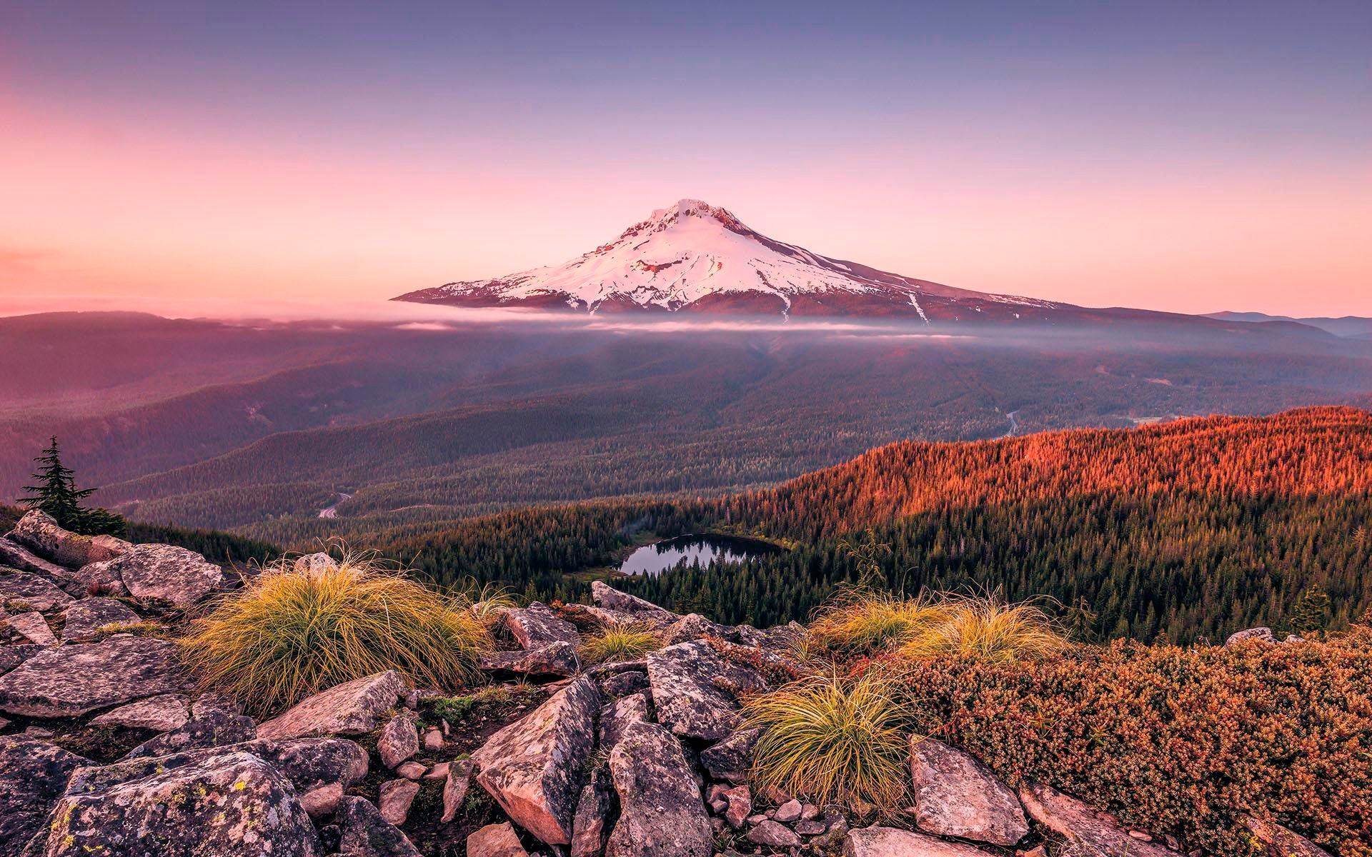 Image of Komar Vliestapete »Kingdom of a Mountain«, naturalistisch bei Ackermann Versand Schweiz