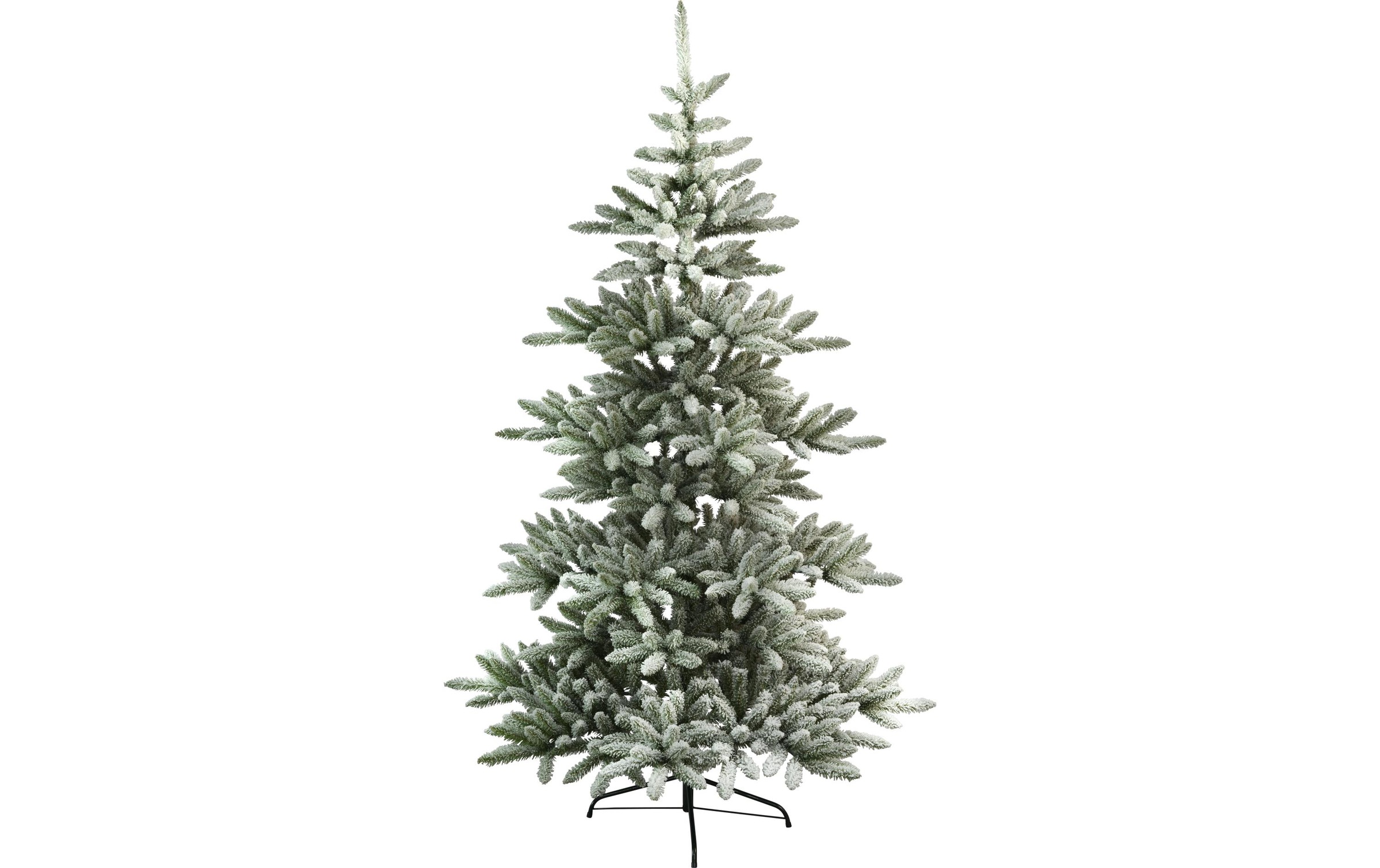 Image of STAR TRADING Künstlicher Weihnachtsbaum »Arvika 210 cm« bei Ackermann Versand Schweiz