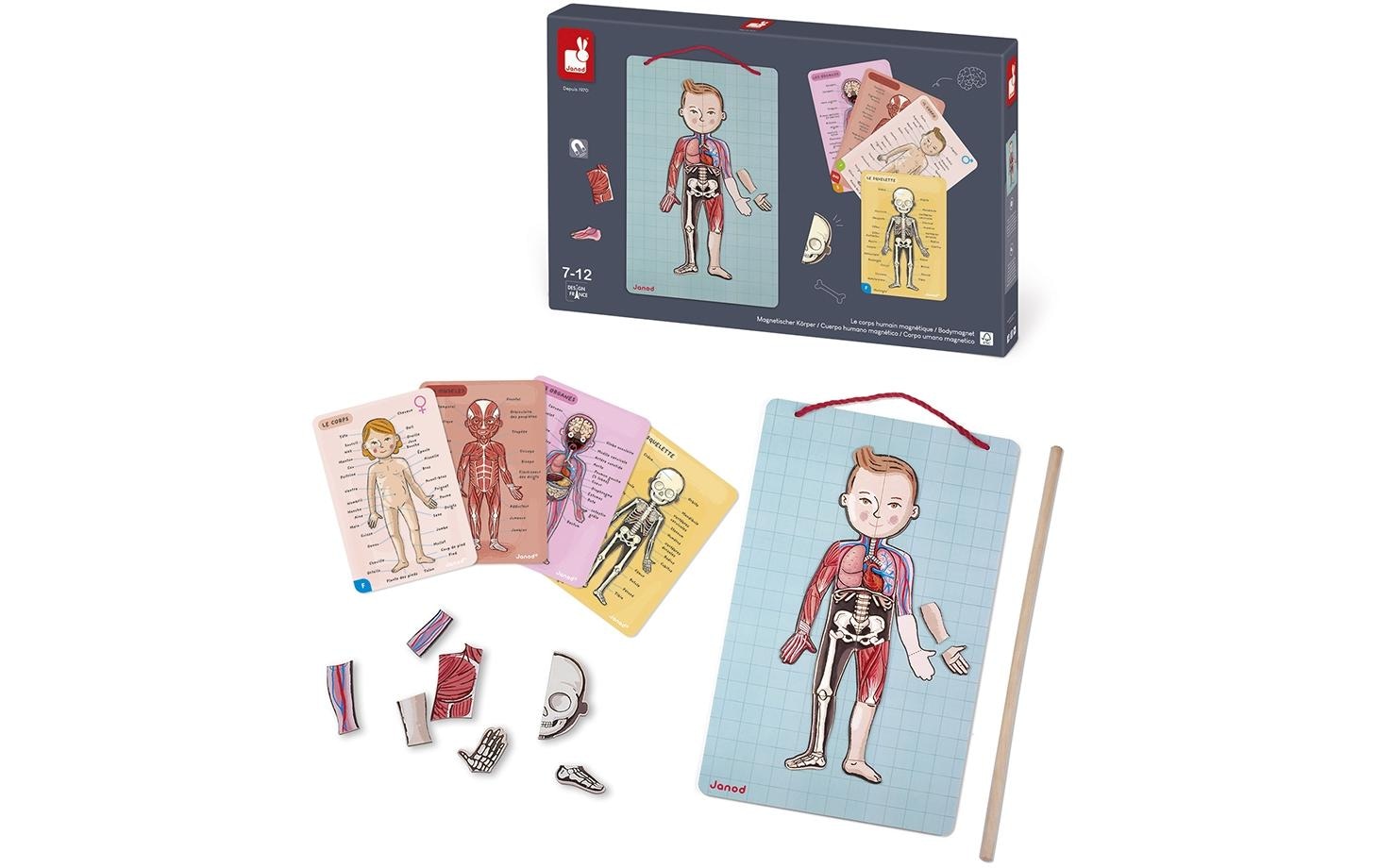 Janod Lernspielzeug »Janod Kinderspiel Magnetspiel Körpe«