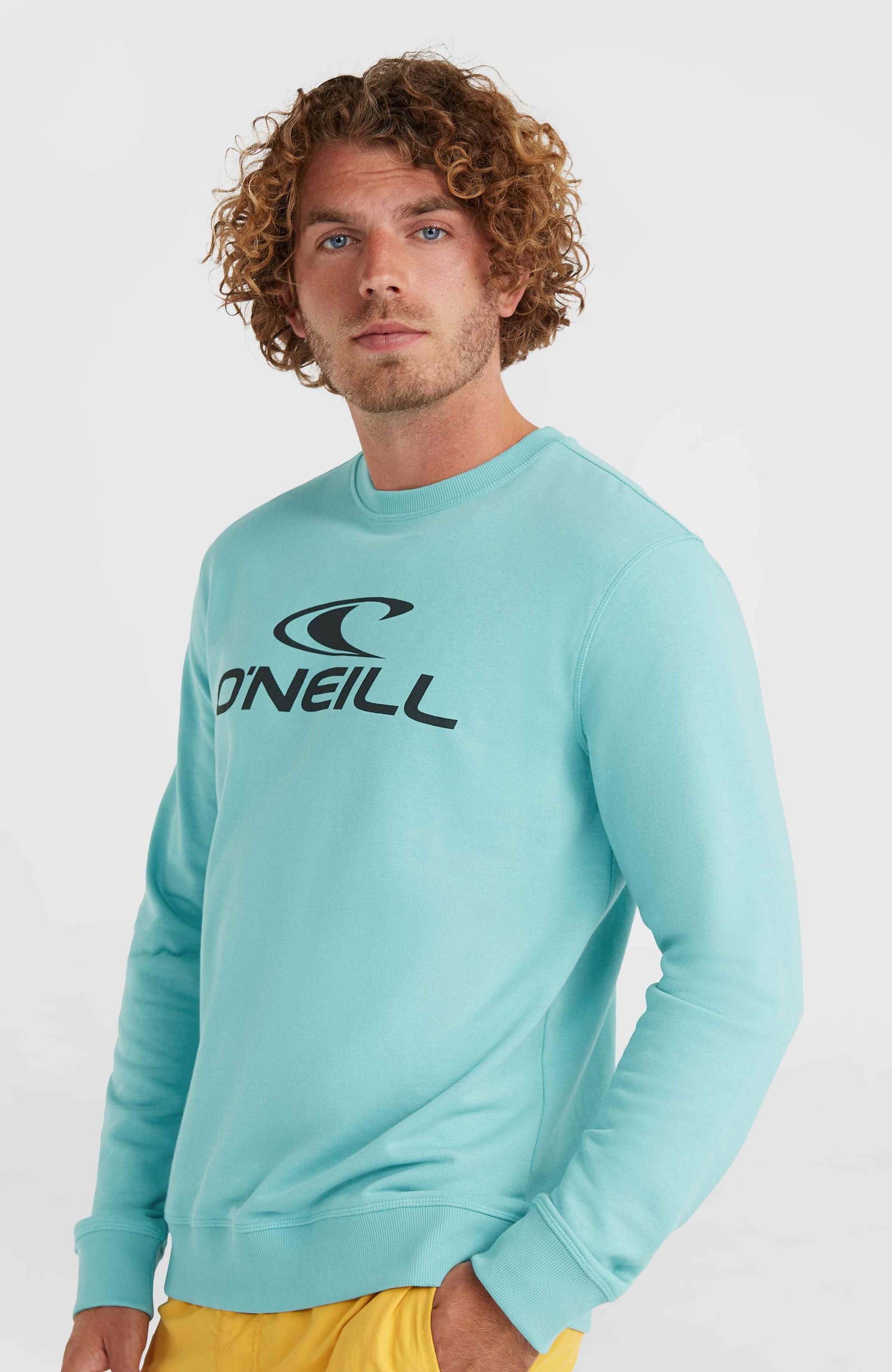 O'Neill Sweatshirt »O'NEILL LOGO CREW«