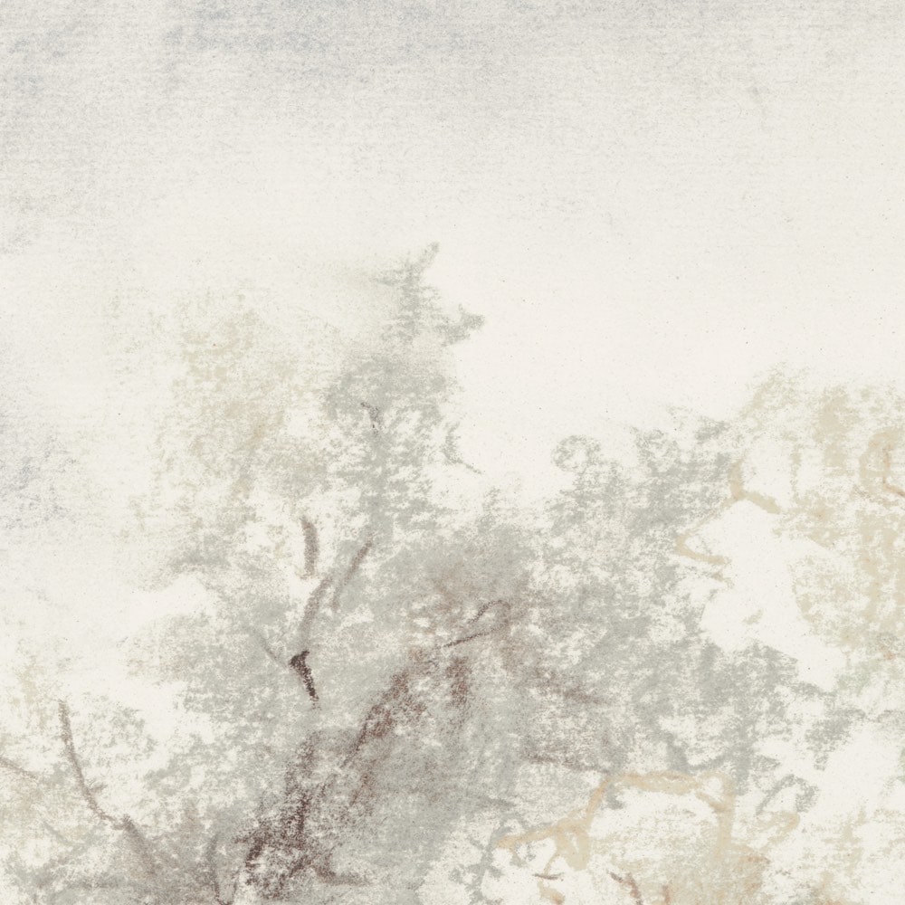 Komar Papier peint photo »Vlies Fototapete - Grove - Grösse 350 x 250 cm« imprimé