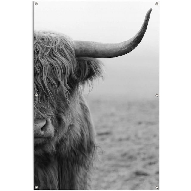 ♕ Reinders! Poster »Highlander Bulle«, leichtes und wasserfestes  Gartenposter für den Ausseneinsatz versandkostenfrei auf