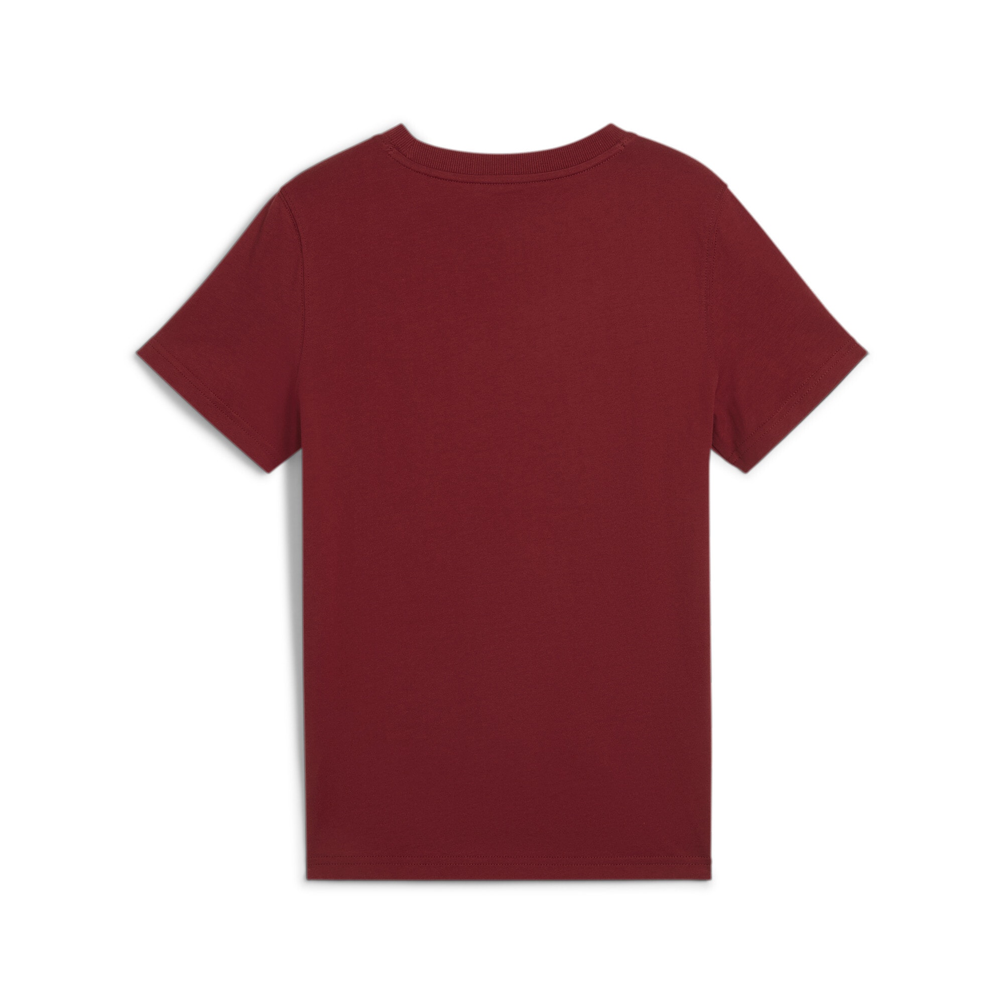 PUMA T-Shirt »SQUAD SMALL GRAPHIC TEE B«