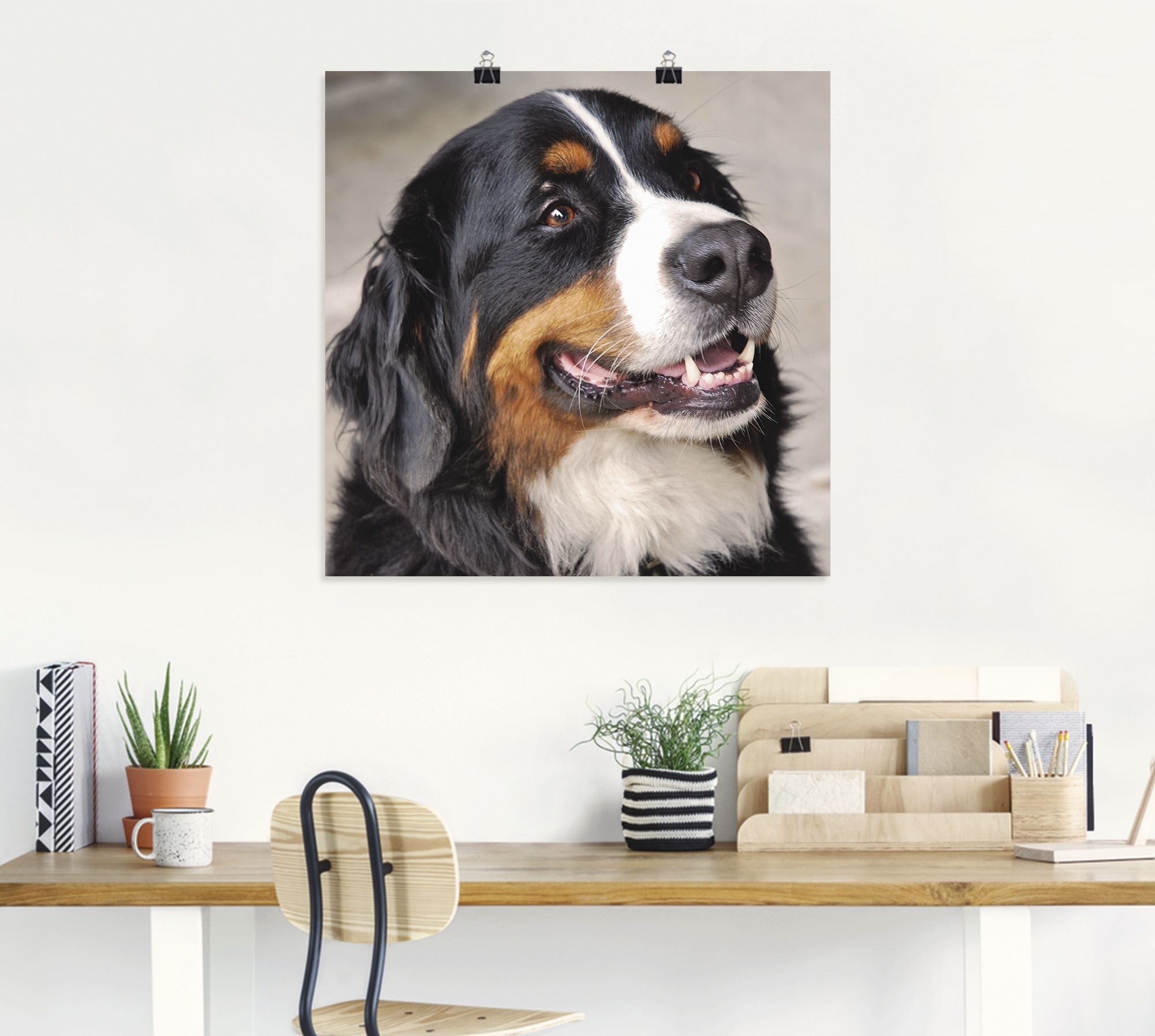 Artland Wandbild »Berner Sennenhund«, Haustiere, (1 St.), als Poster, Wandaufkleber in verschied. Grössen