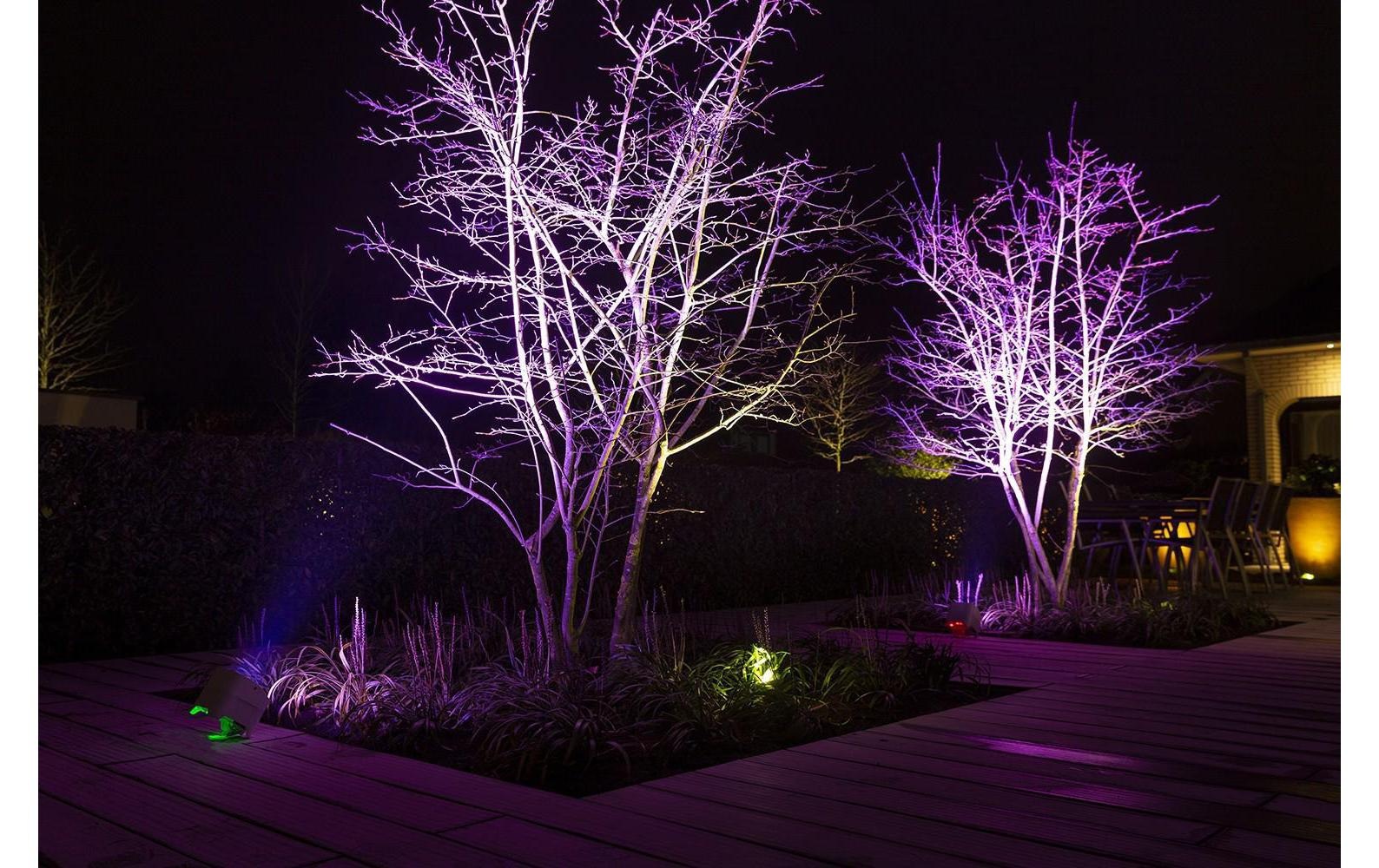 BeamZ Discolicht »BBP96SC Uplight Par«