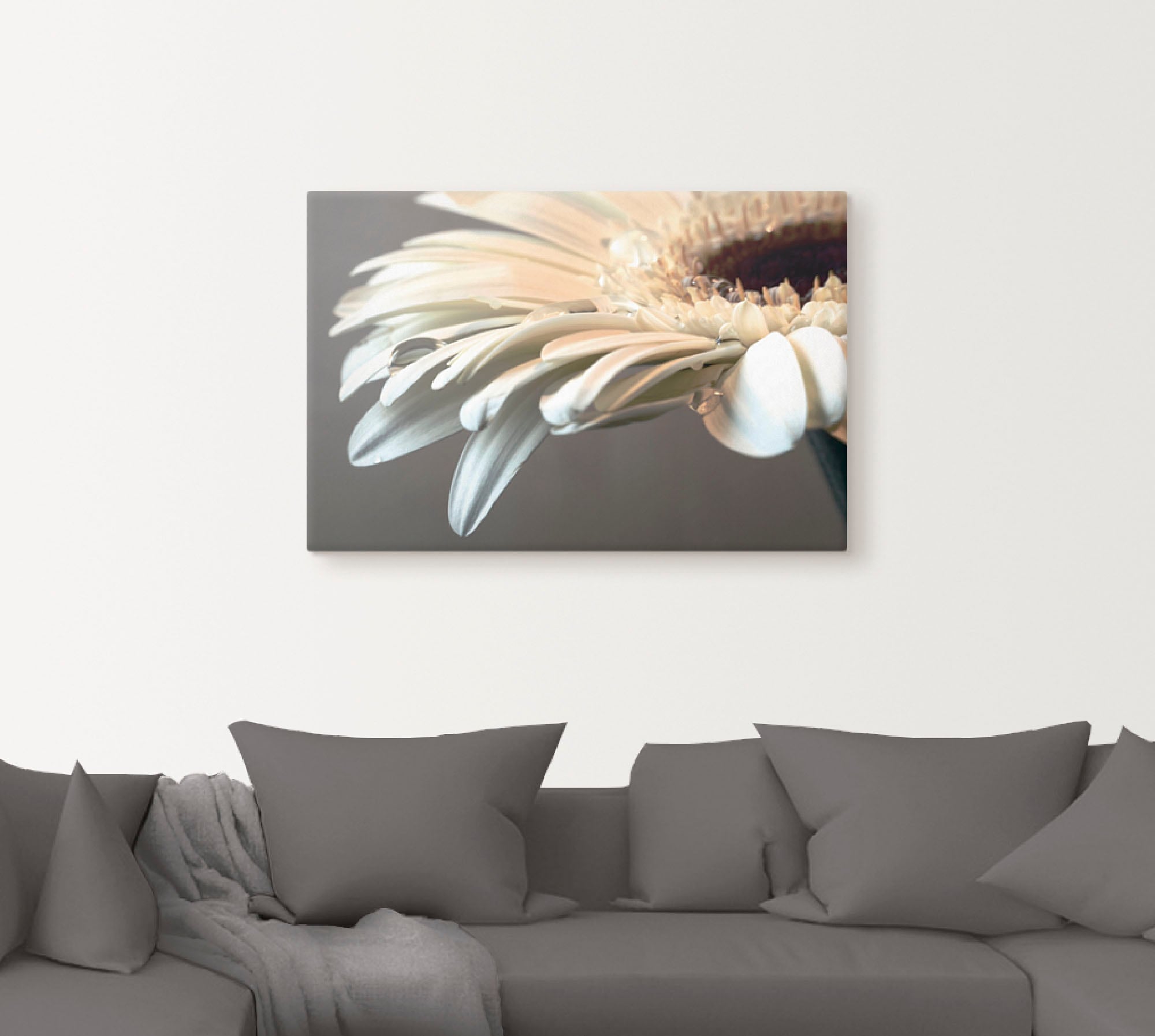 Artland Wandbild »Blüte einer Gerbera« 1 Stk. tlg. als Leinwandbild, Poster, Wandaufkleber in verschied. Grössen