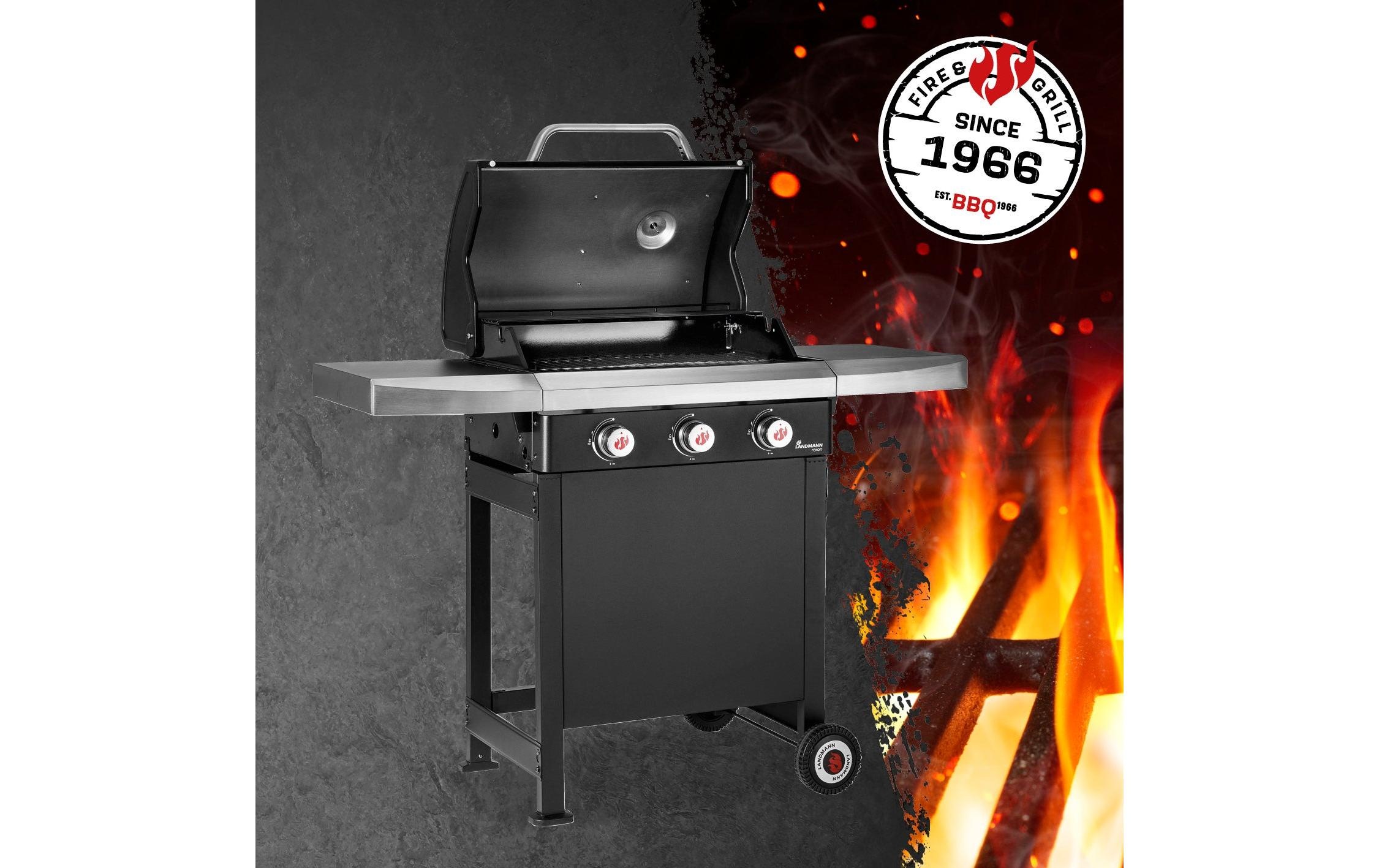 LANDMANN Gasgrill »Rexon PTS 3.0«