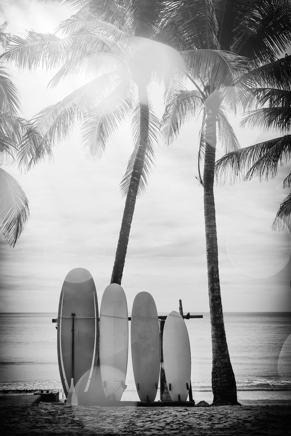 Image of queence Acrylglasbild "Surfboards" Kunst Palmen Schwarz-Weiss Strand Strandbilder Fine Art-Print in Galeriequalität
