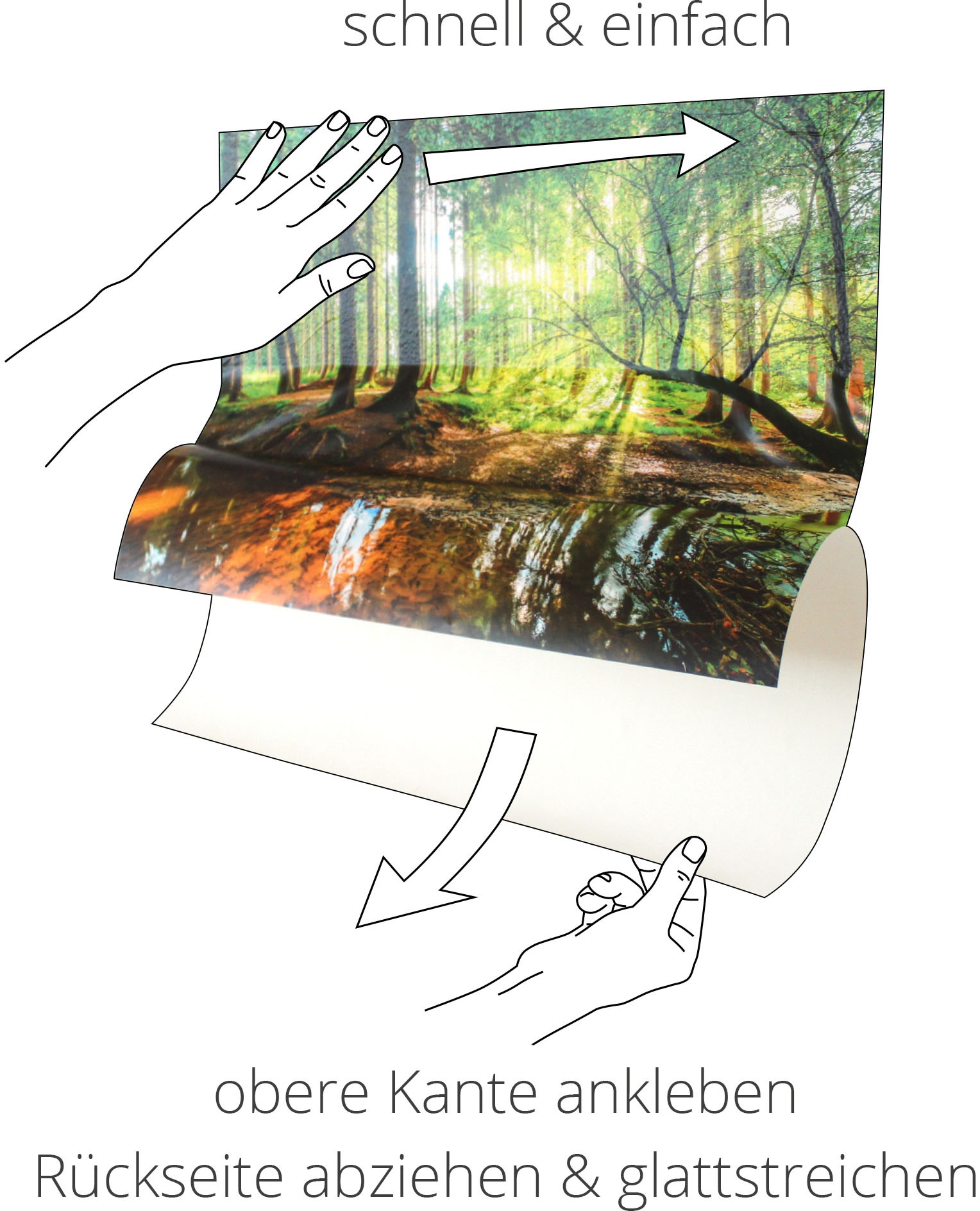 Artland Wandbild »Sonniger Wald«, Baumbilder, (1 St.), als Alubild,  Leinwandbild, Wandaufkleber oder Poster in versch. Grössen kaufen