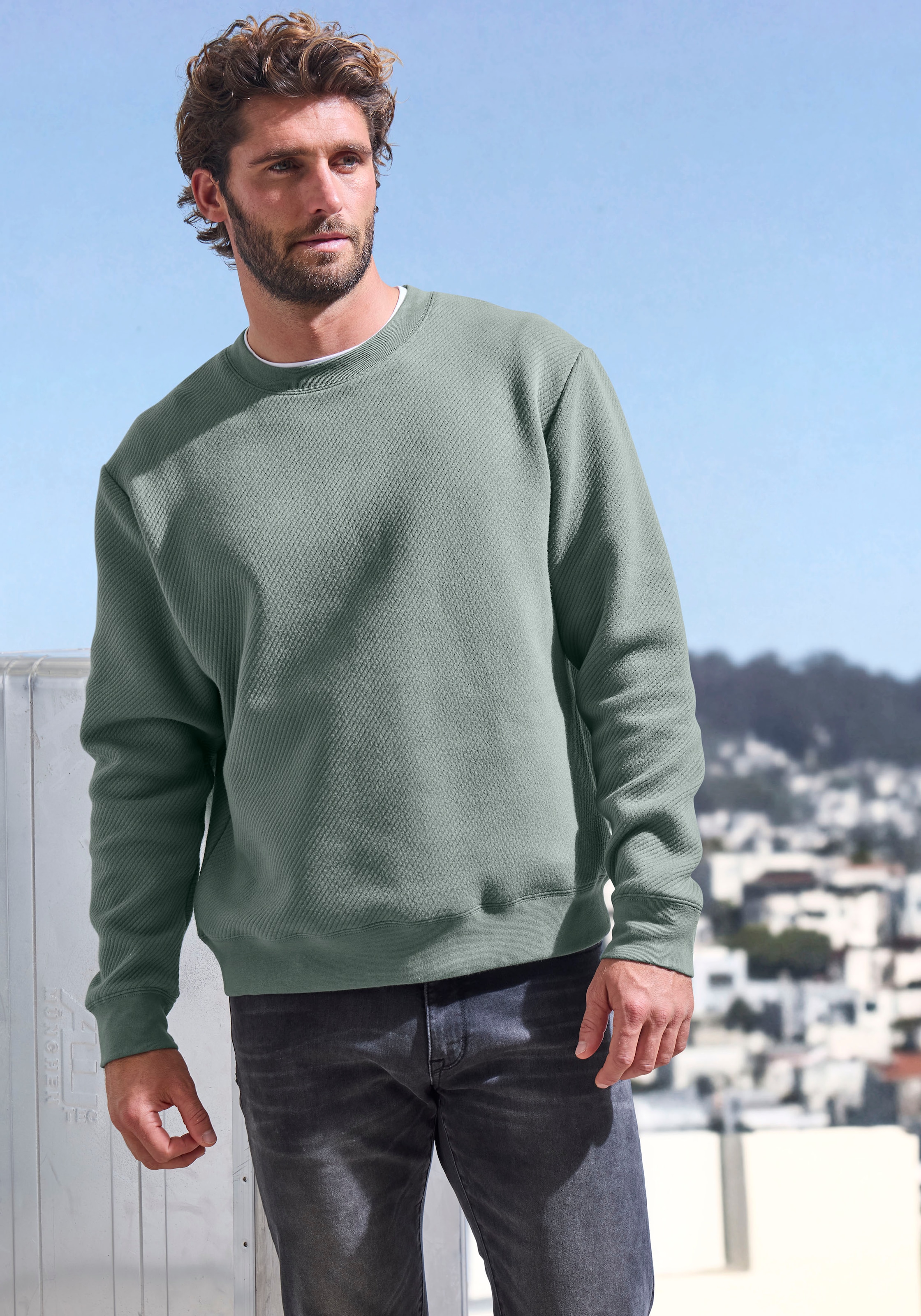 John Devin Sweatshirt, Langarm, Pullover mit Struktur, Rundhals, Baumwollmischung