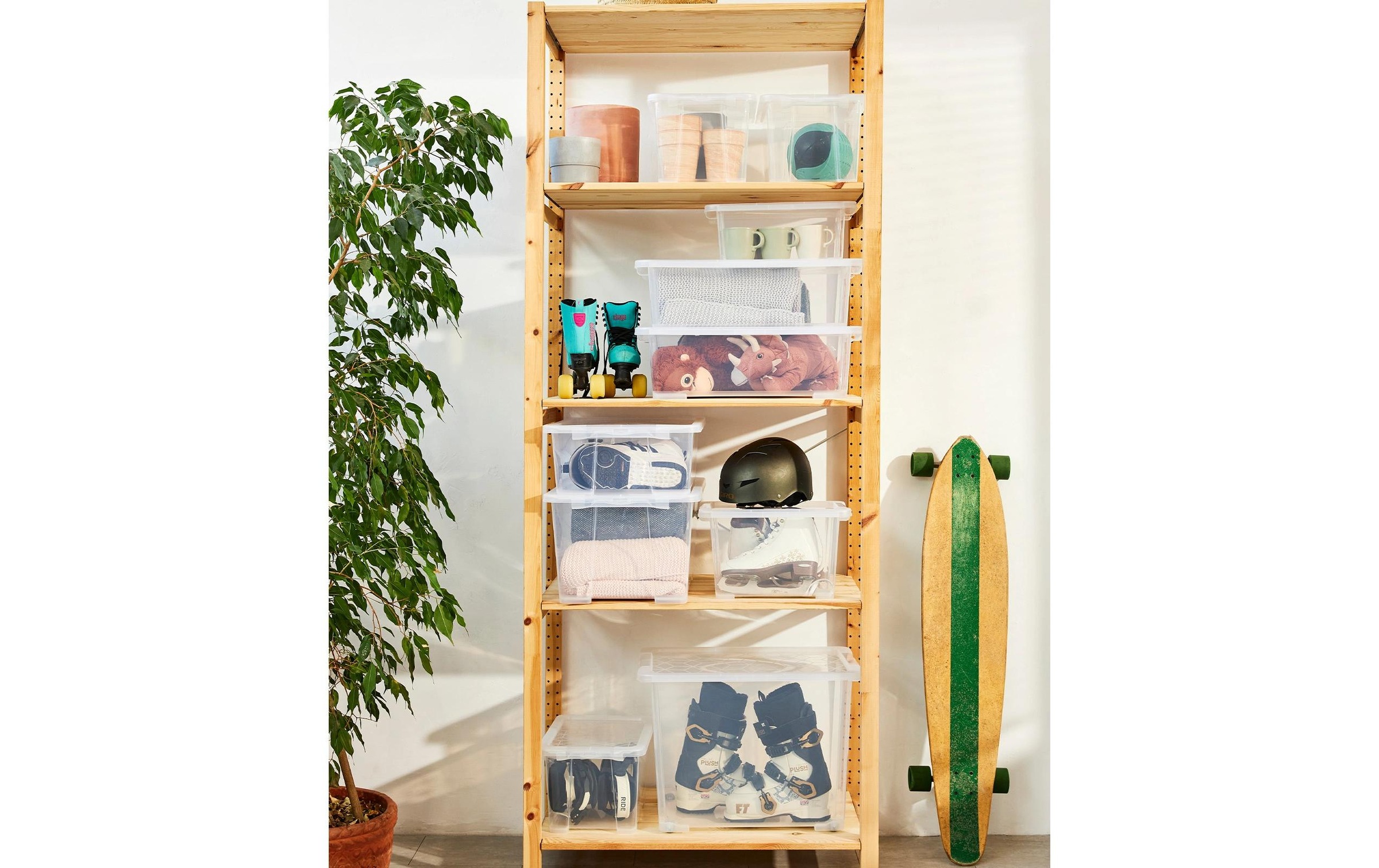ROTHO Aufbewahrungsbox »EVO EASY«, (3 St.)