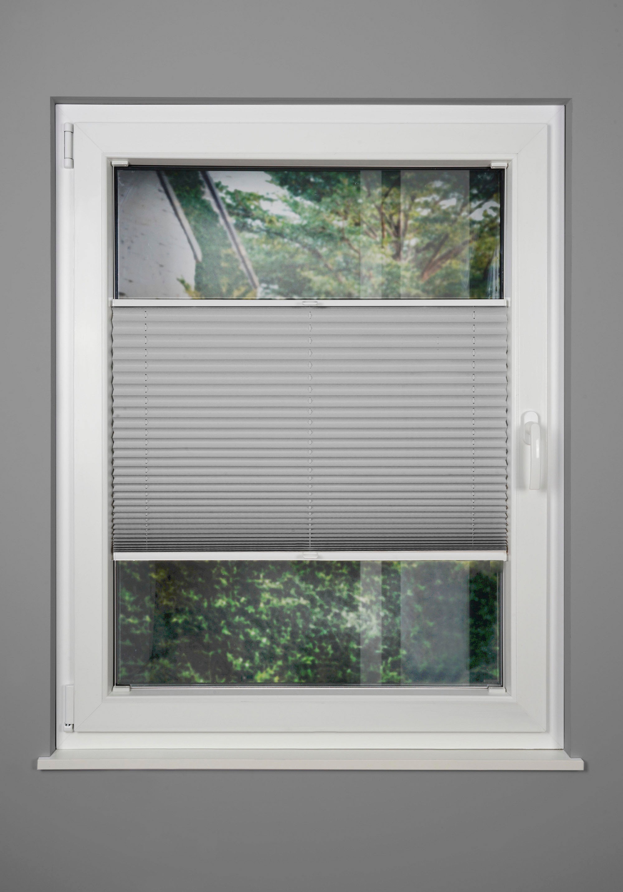 Image of mydeco Plissee nach Mass »Basic«, Lichtschutz, mit Bohren, verspannt bei Ackermann Versand Schweiz