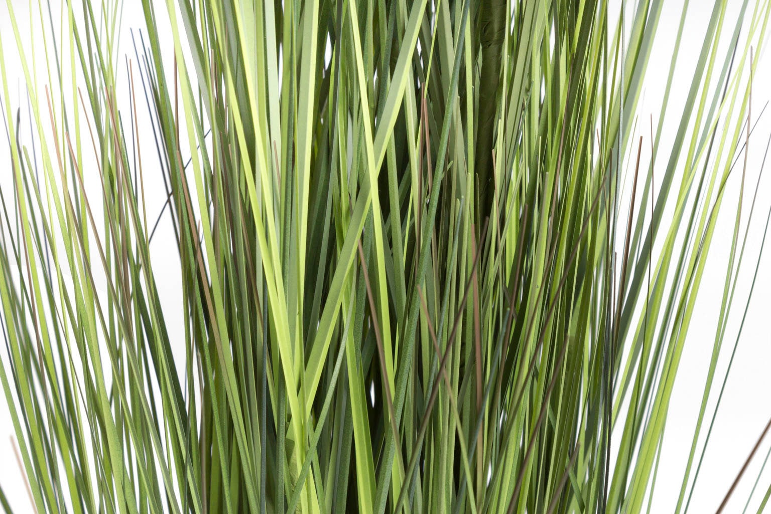 Botanic-Haus Herbe artificielle »Gras Festuca«