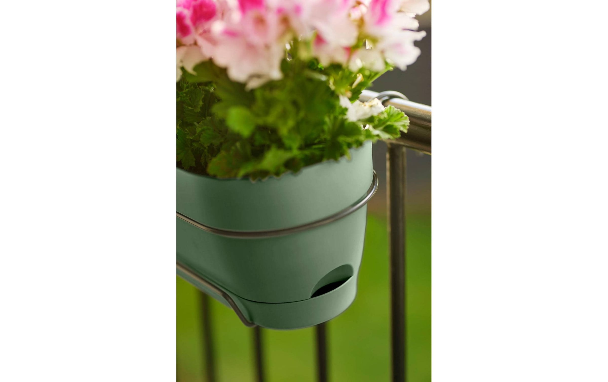 Elho Blumentopf »Vibia Campana Balkonkasten Allin1 50 cm«