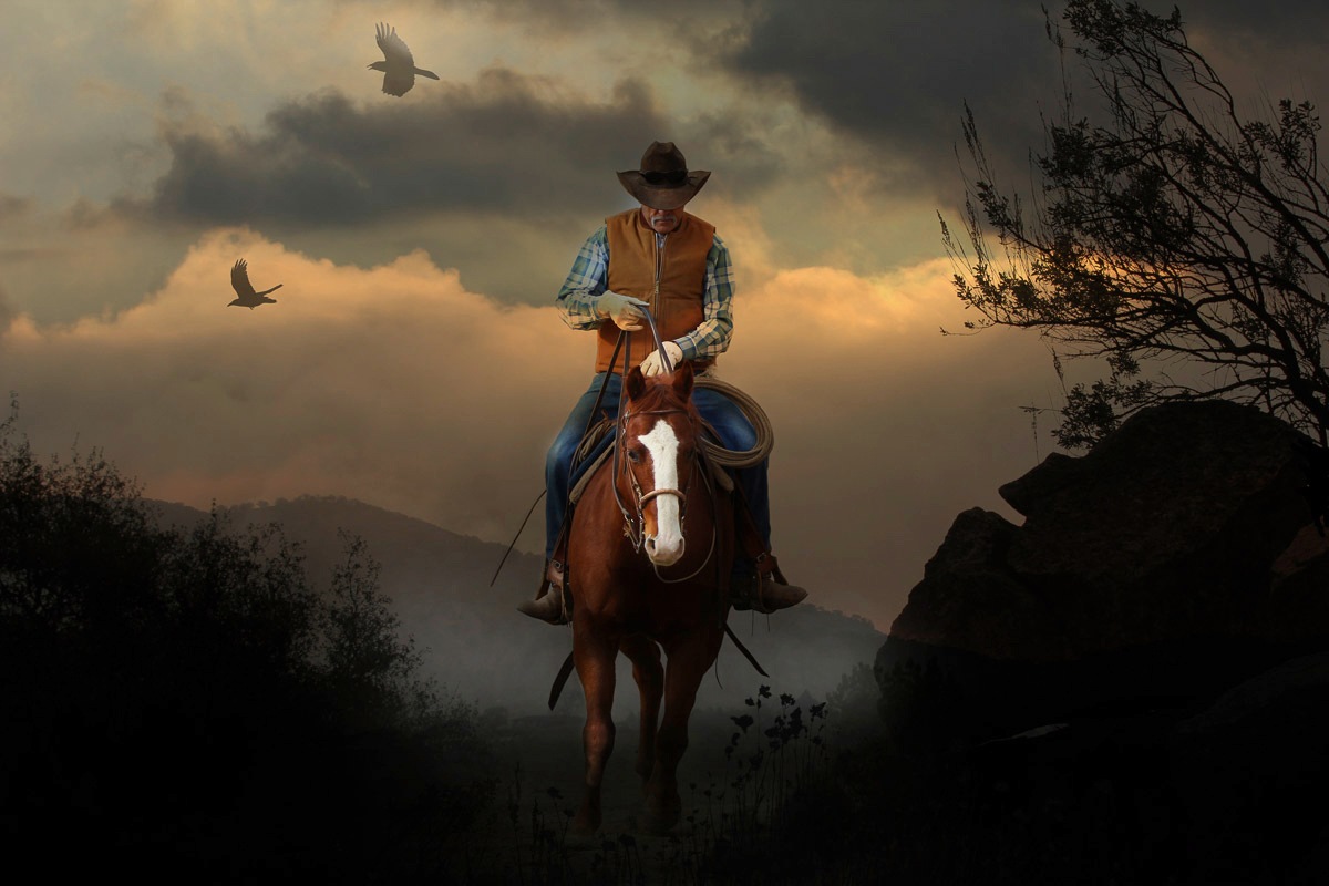 Image of Papermoon Fototapete "Cowboy"