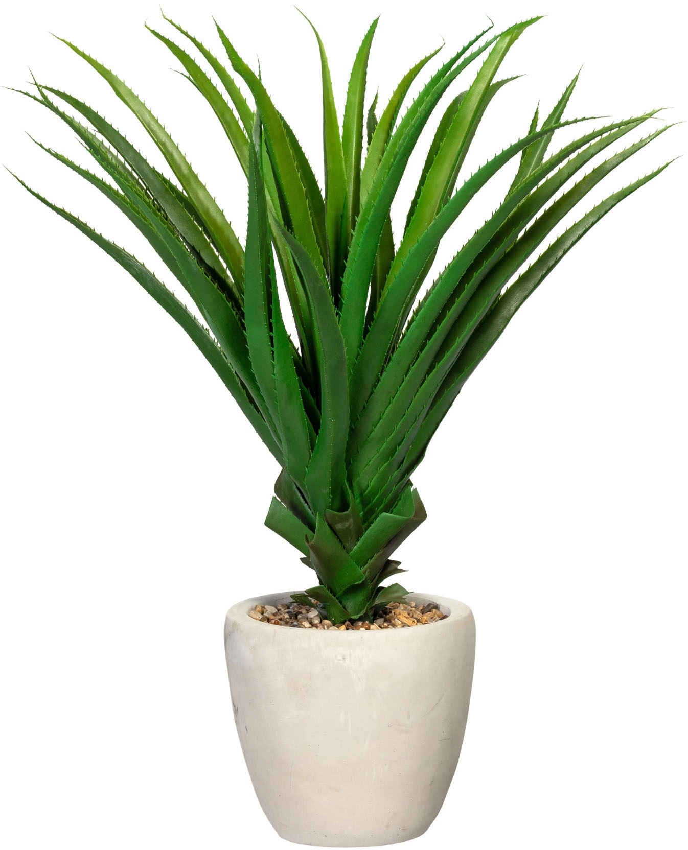 Image of Creativ green Künstliche Zimmerpflanze »Pandanus multispicatus«, (1 St.), im Zementtopf bei Ackermann Versand Schweiz