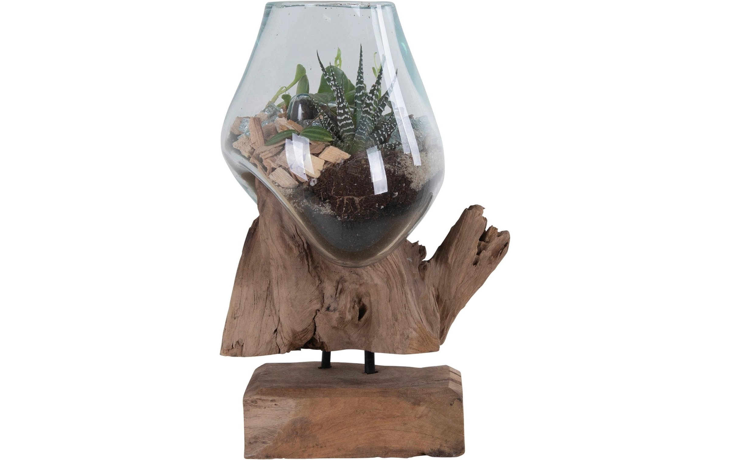 Image of House Nordic Dekoschale "San Marino 25 x 18 x 15 cm 1" Holzart: Teakholz (Indonesien)