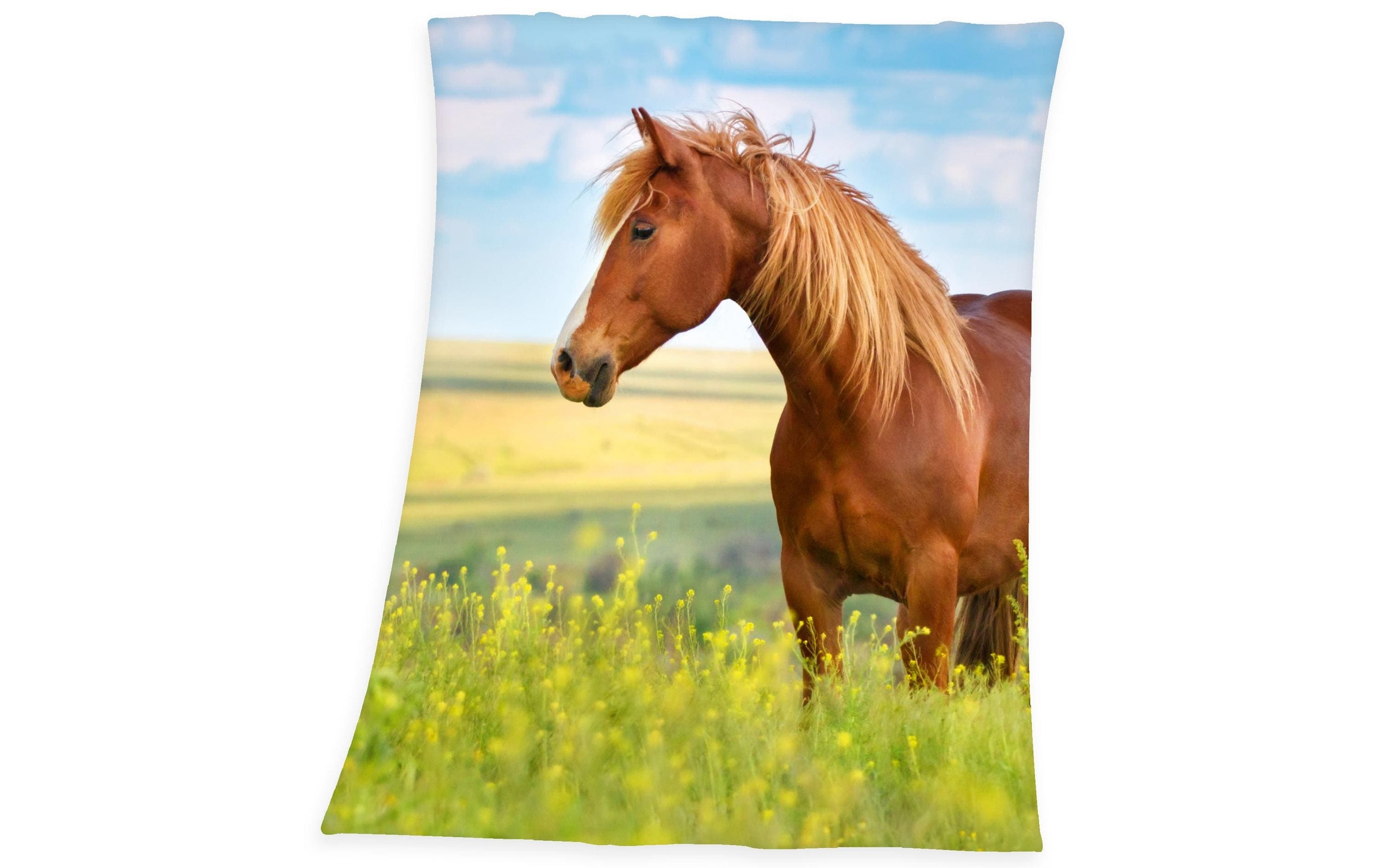 bequem »Decke Pferd« Wohndecke kaufen Herding