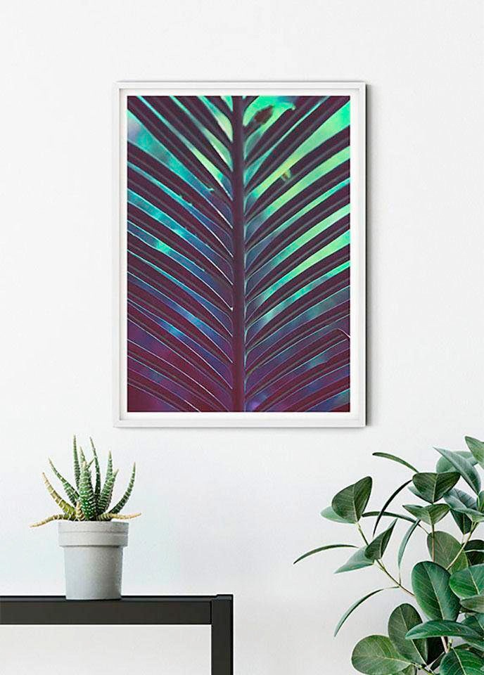 Komar Bild »Hide« Blätter | Pflanzen 1 Stk. tlg. Wandbild zur Dekoration - ohne Rahmen