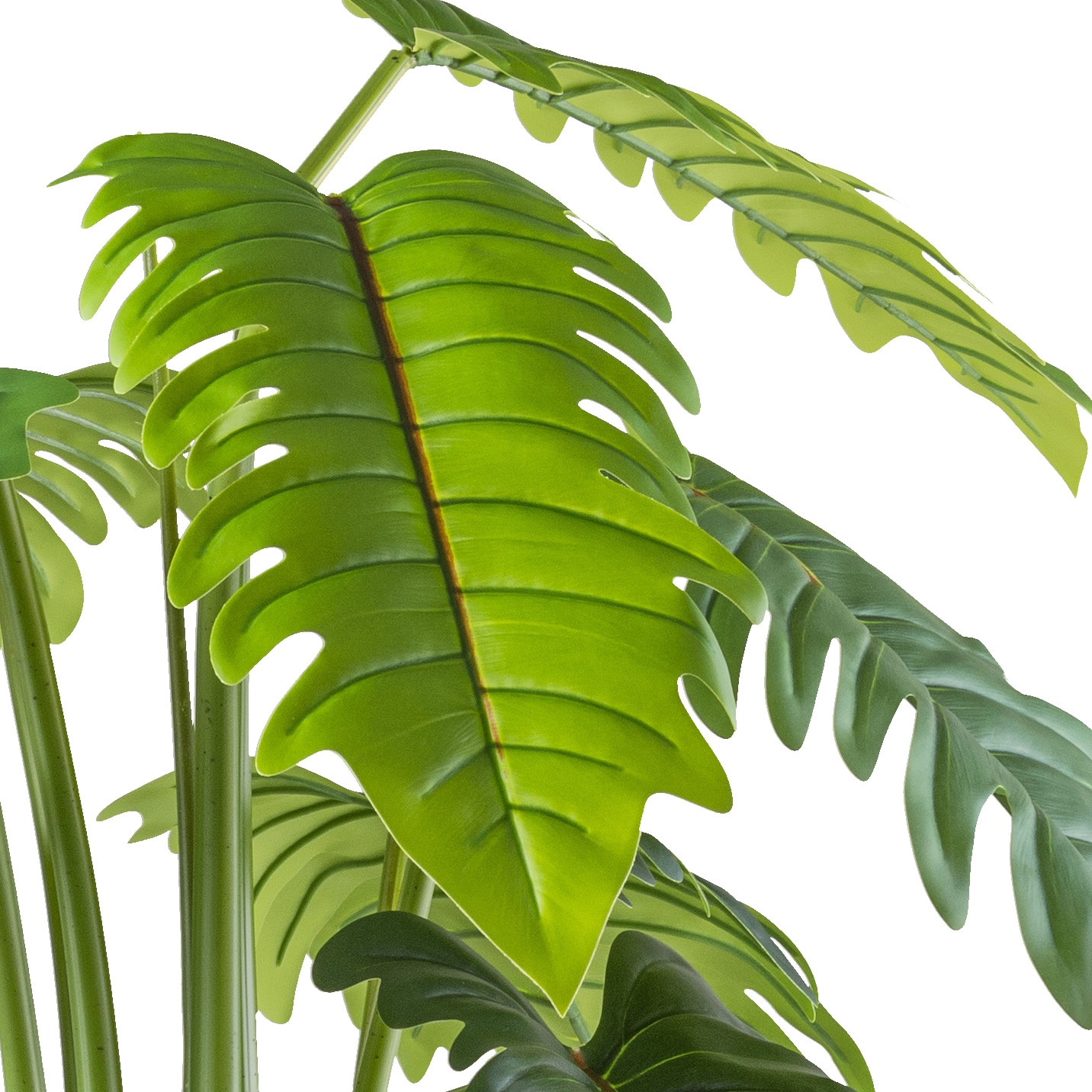 Creativ green Kunstbaum »Philodendron xanadu« mit grossformatigem Blattwerk