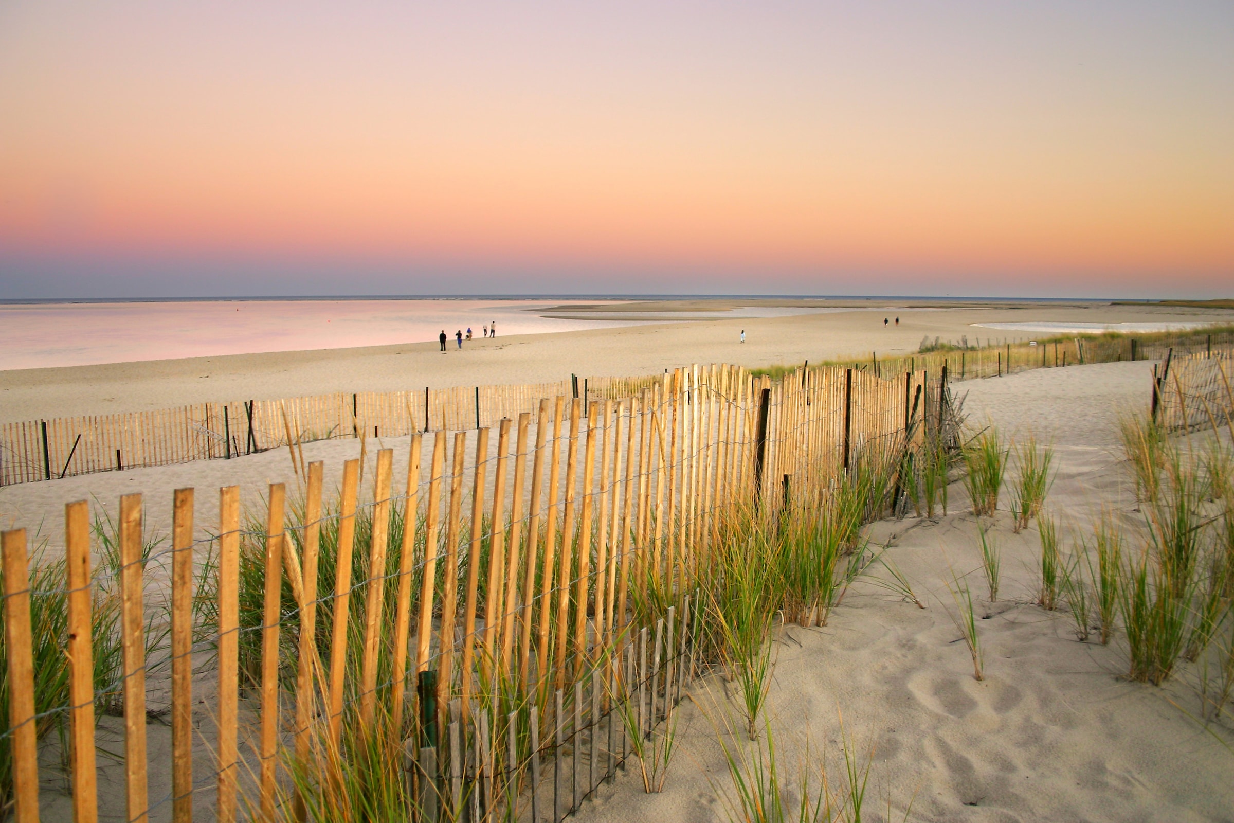 Image of Papermoon Fototapete "Dunes Cape Cod" glatt